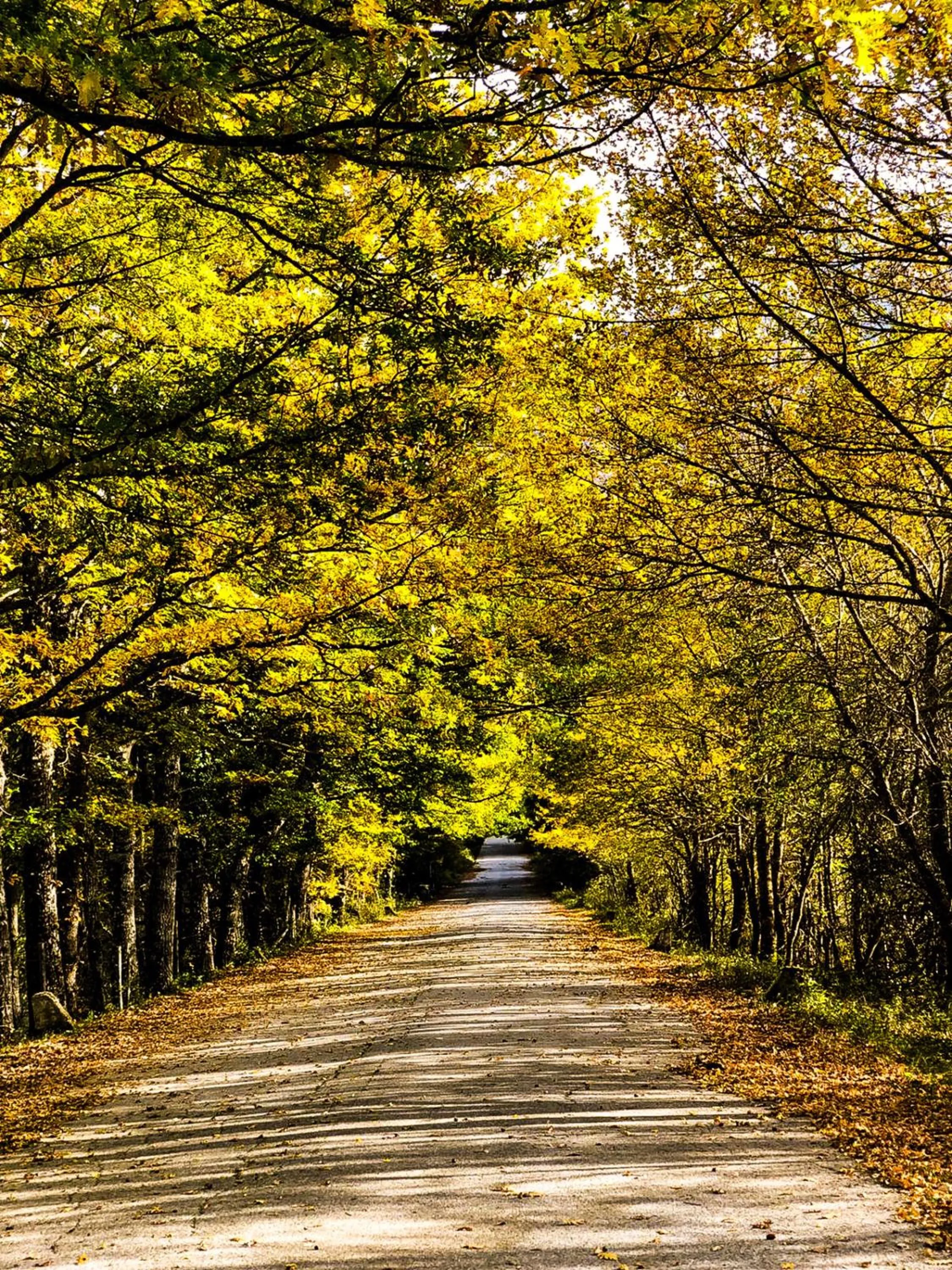 Nearby landmark in HOTEL HOLIDAYS a Barrea - Natura, Relax e Benessere nel Parco d'Abruzzo
