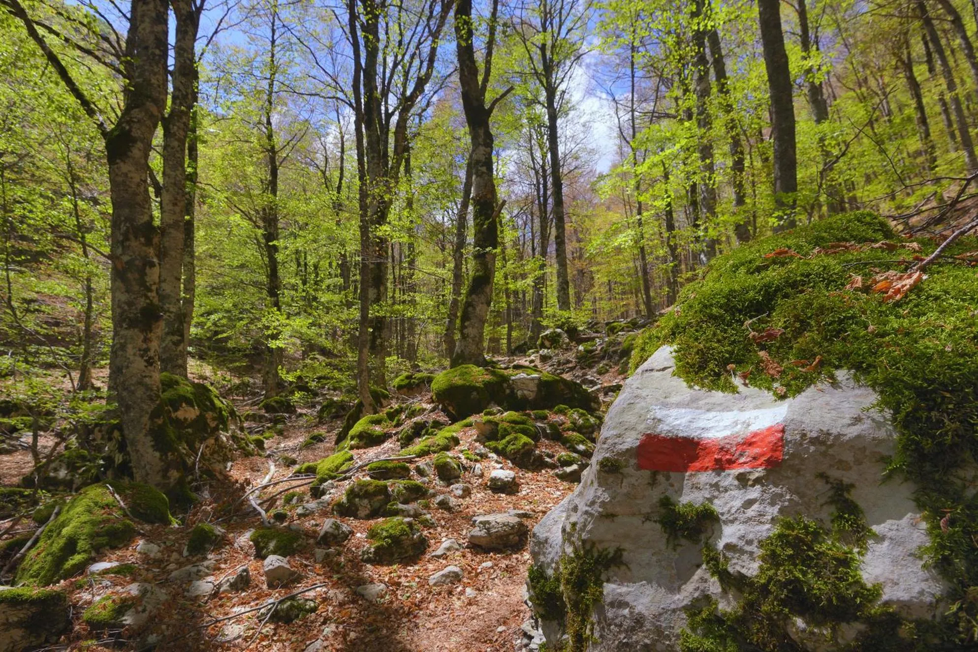 Nearby landmark in HOTEL HOLIDAYS a Barrea - Natura, Relax e Benessere nel Parco d'Abruzzo