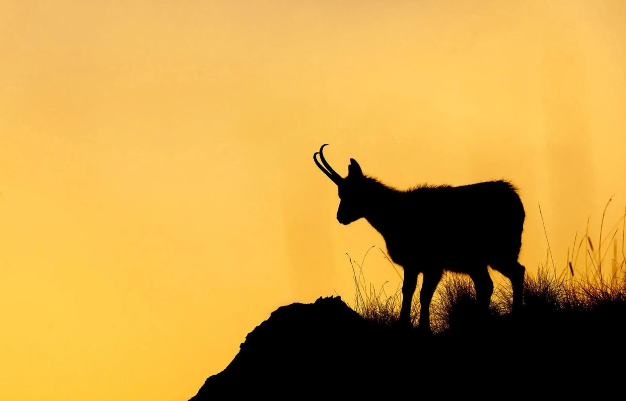 Summer in HOTEL HOLIDAYS a Barrea - Natura, Relax e Benessere nel Parco d'Abruzzo