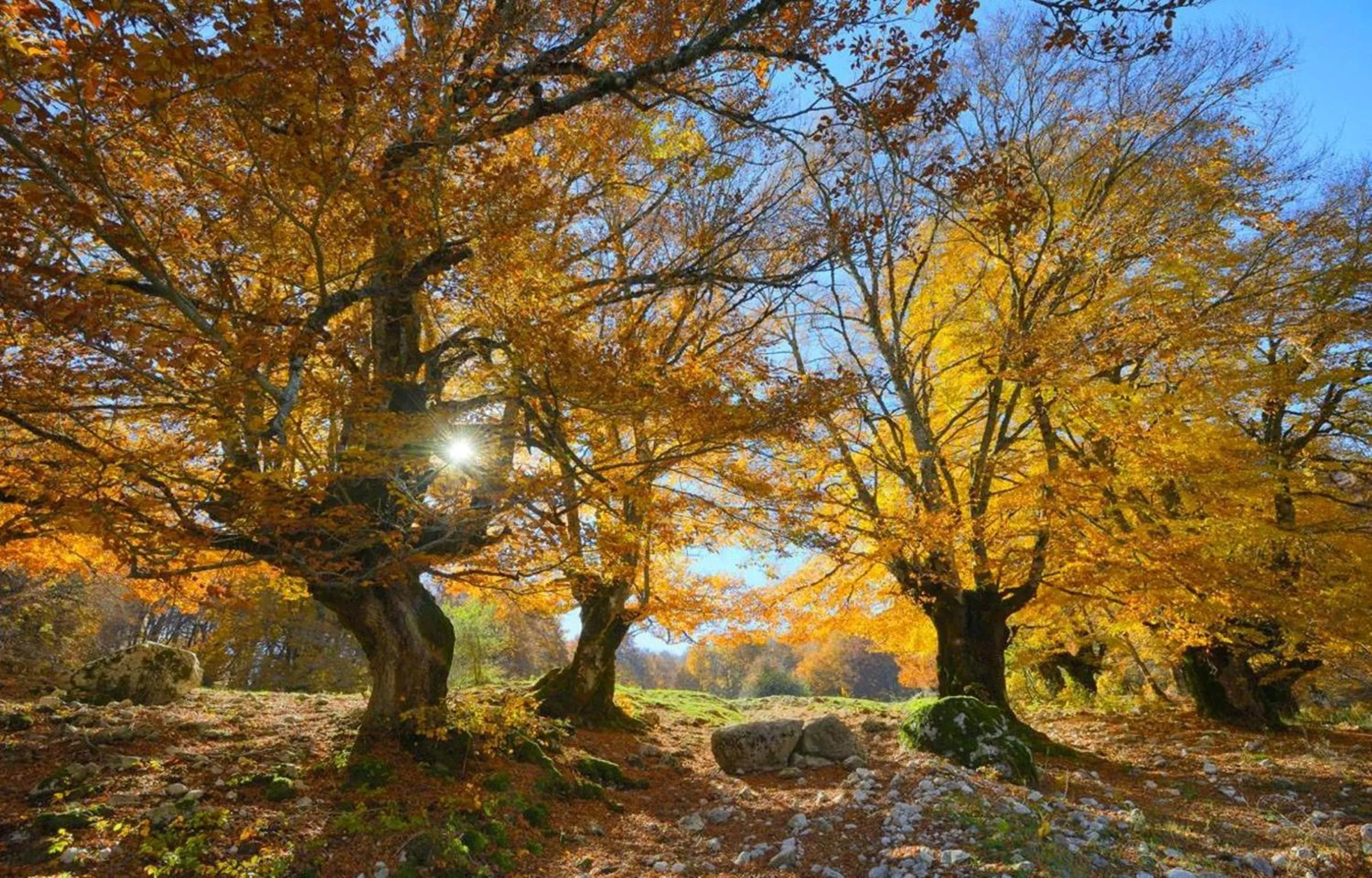 Autumn in HOTEL HOLIDAYS a Barrea - Natura, Relax e Benessere nel Parco d'Abruzzo