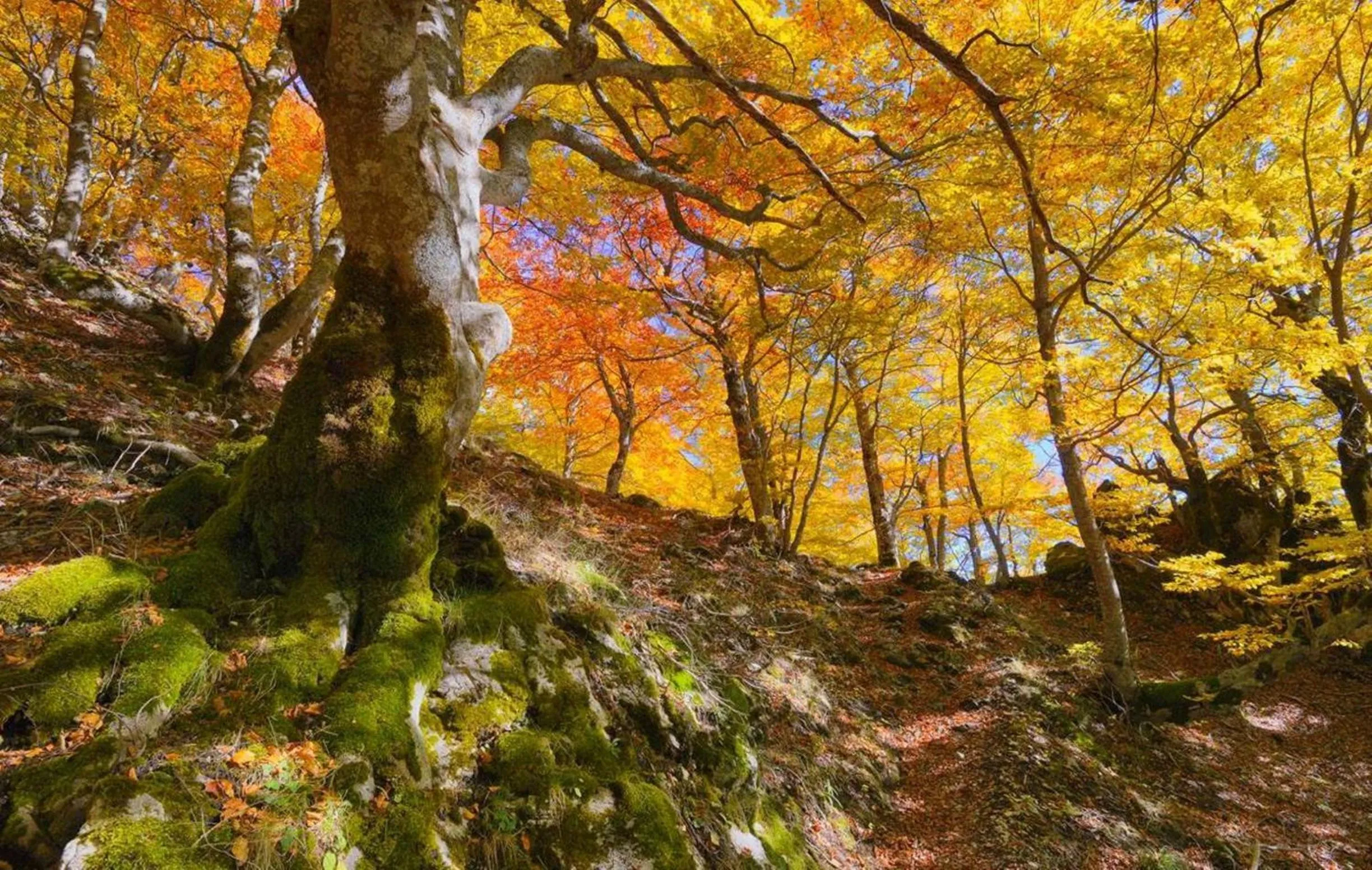 Summer in HOTEL HOLIDAYS a Barrea - Natura, Relax e Benessere nel Parco d'Abruzzo