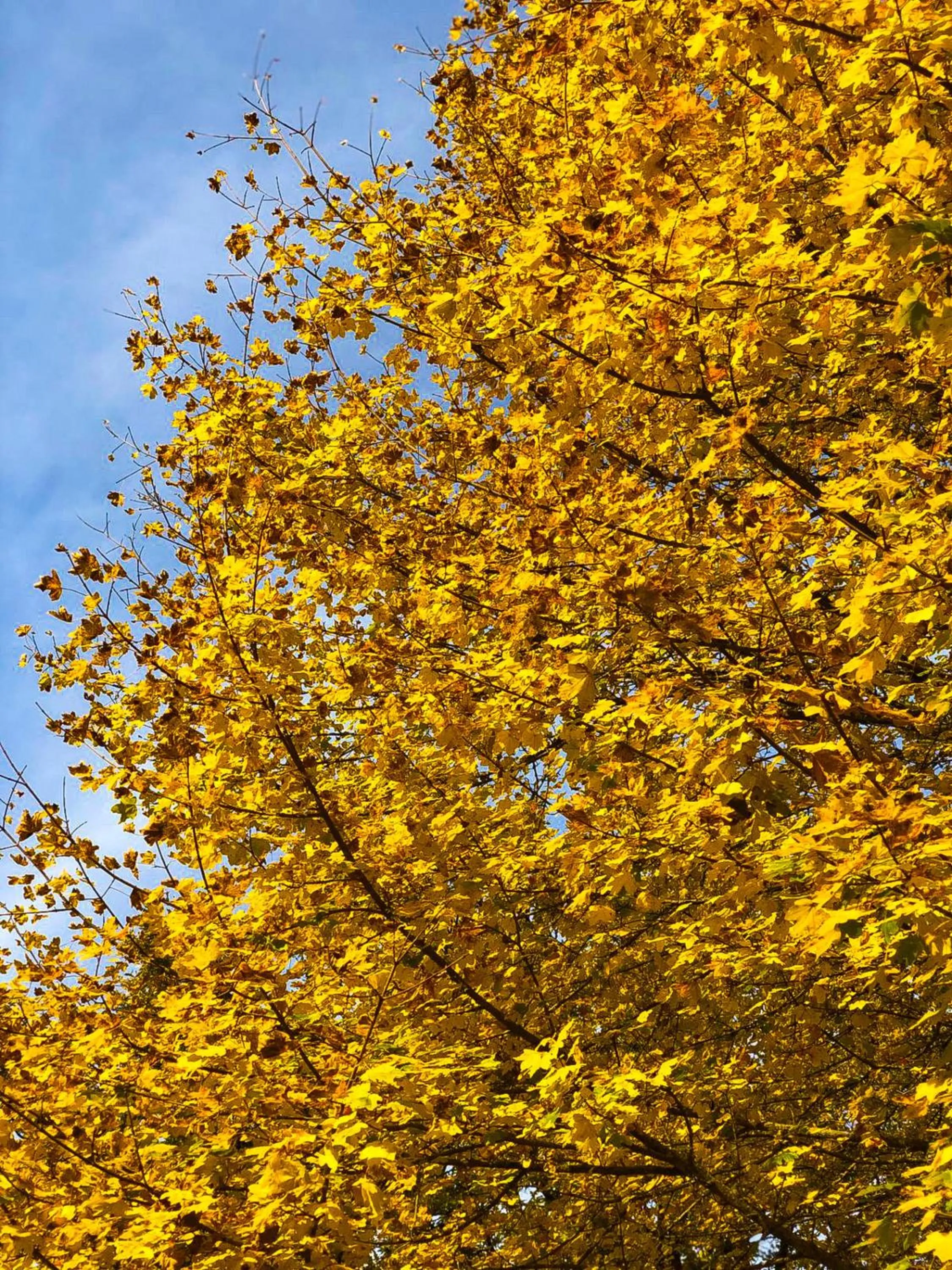 Nearby landmark in HOTEL HOLIDAYS a Barrea - Natura, Relax e Benessere nel Parco d'Abruzzo