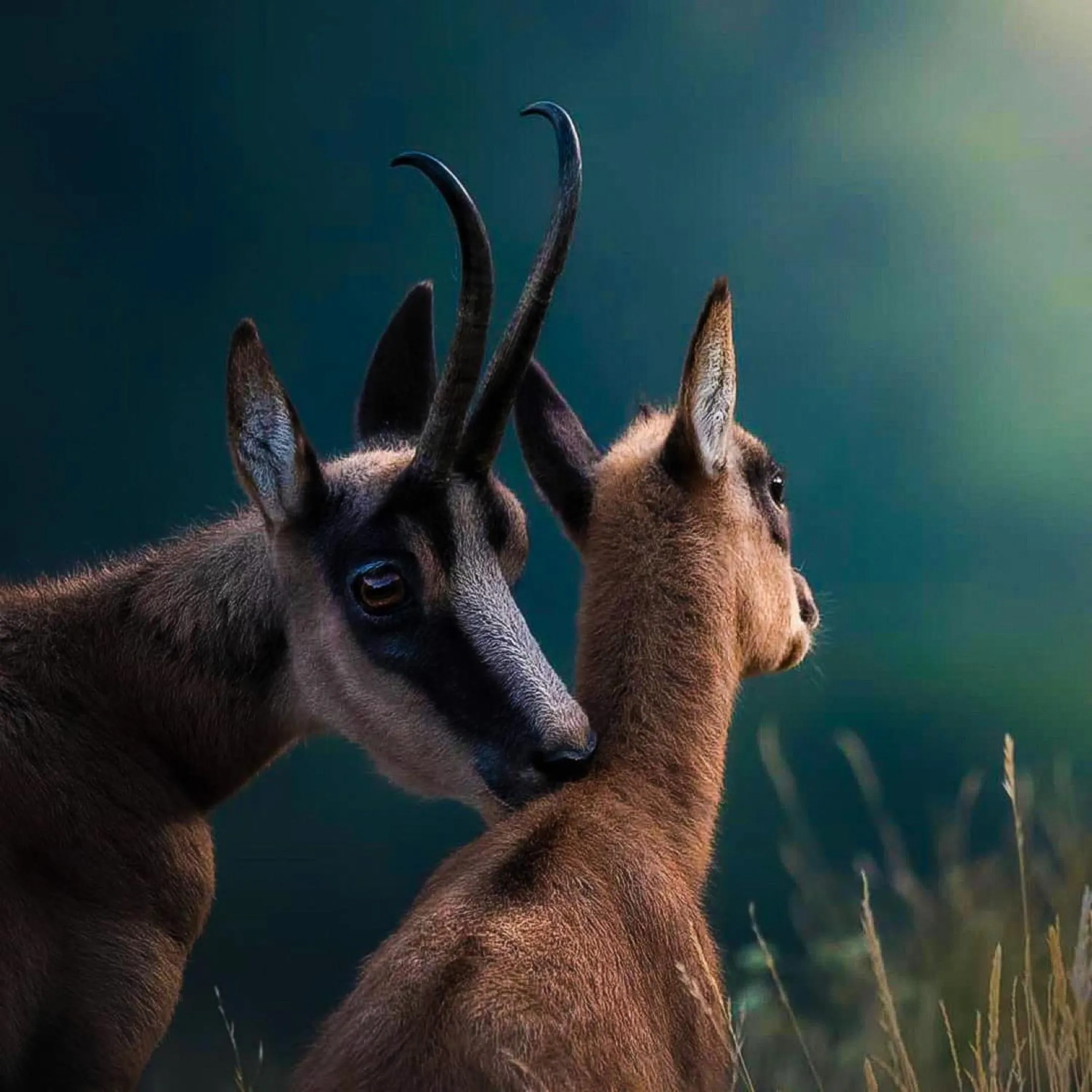 Nearby landmark in HOTEL HOLIDAYS a Barrea - Natura, Relax e Benessere nel Parco d'Abruzzo