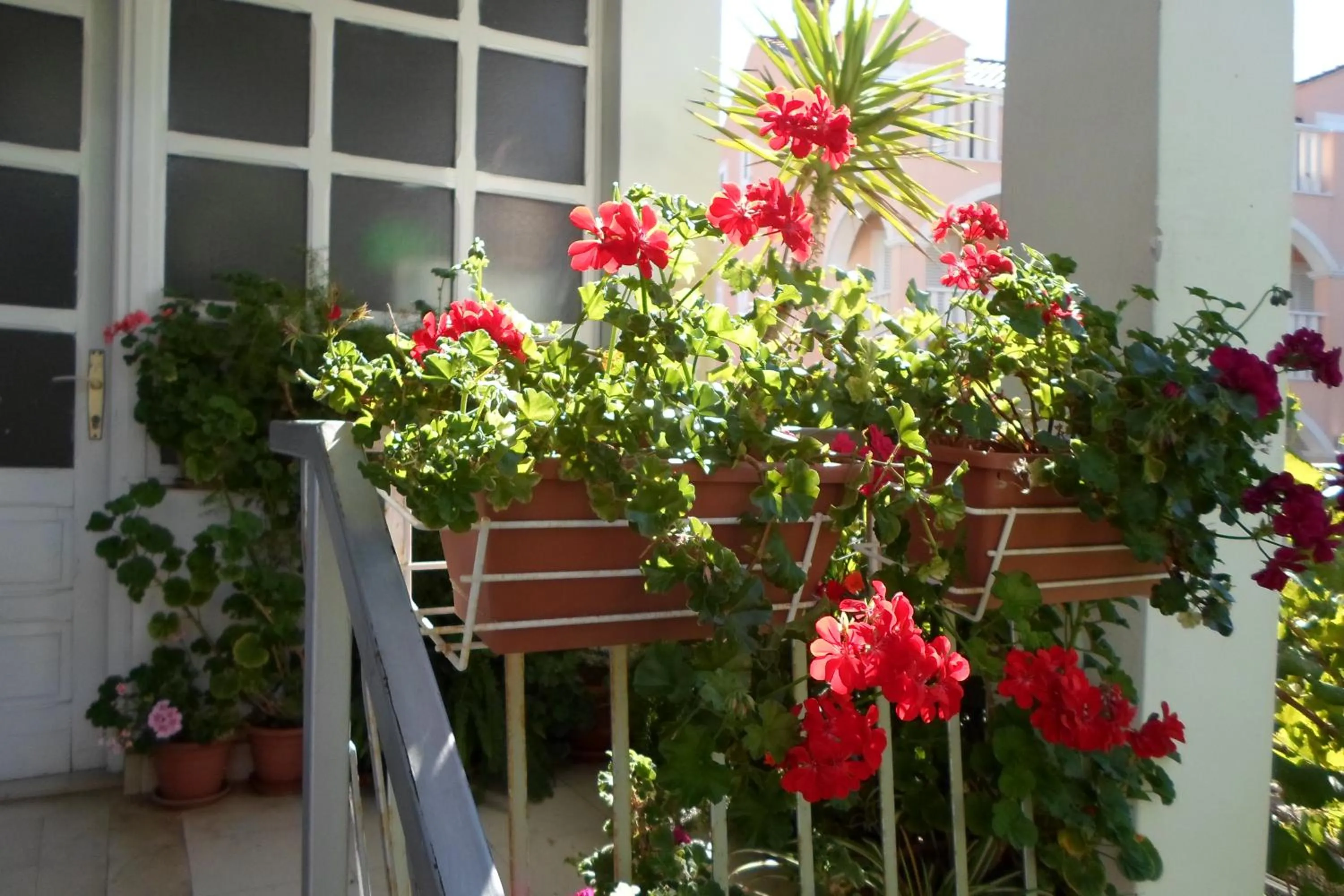 Decorative detail in Pansion Lovac