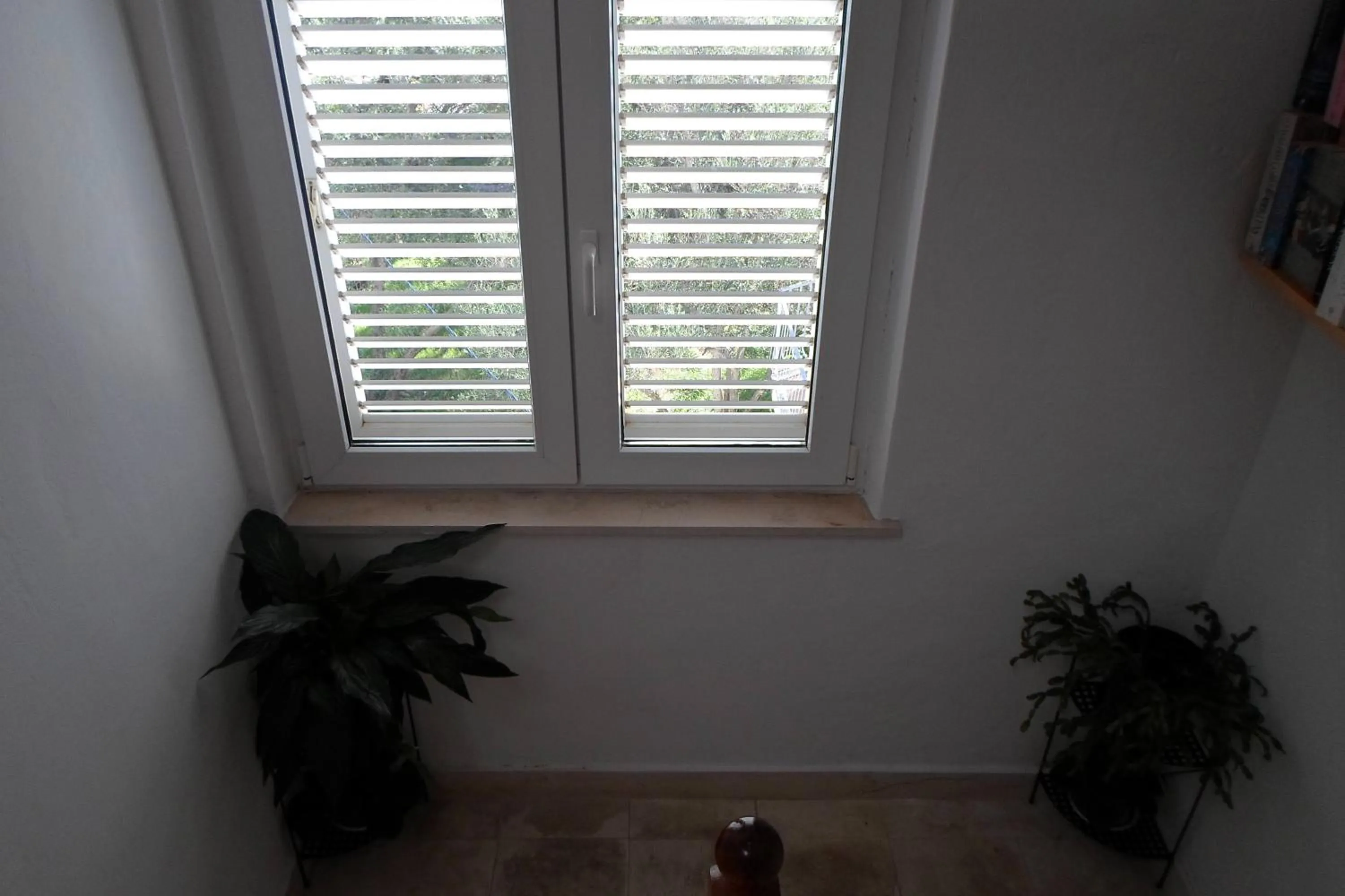 Other in Pansion Lovac