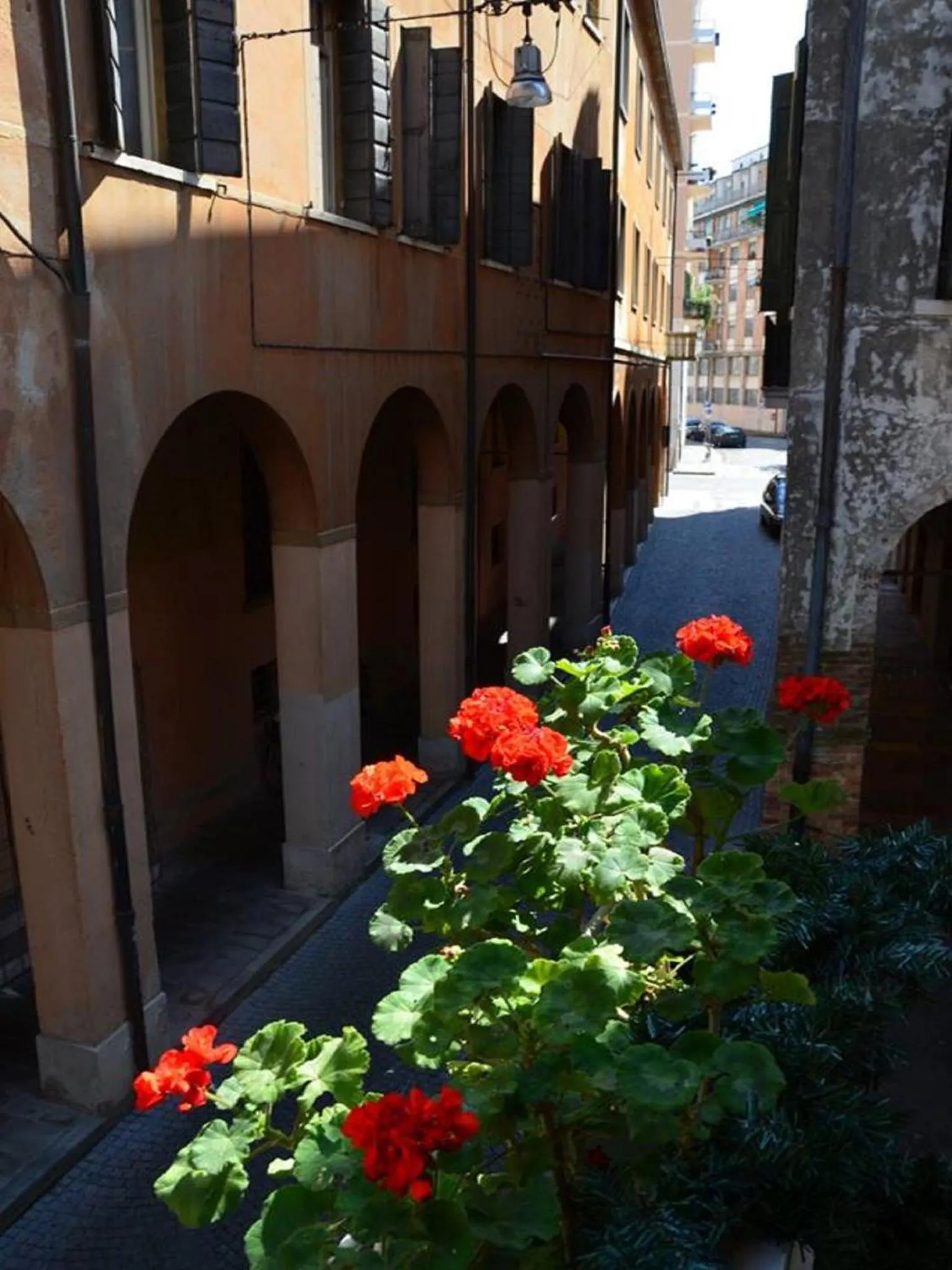 Madam Treviso