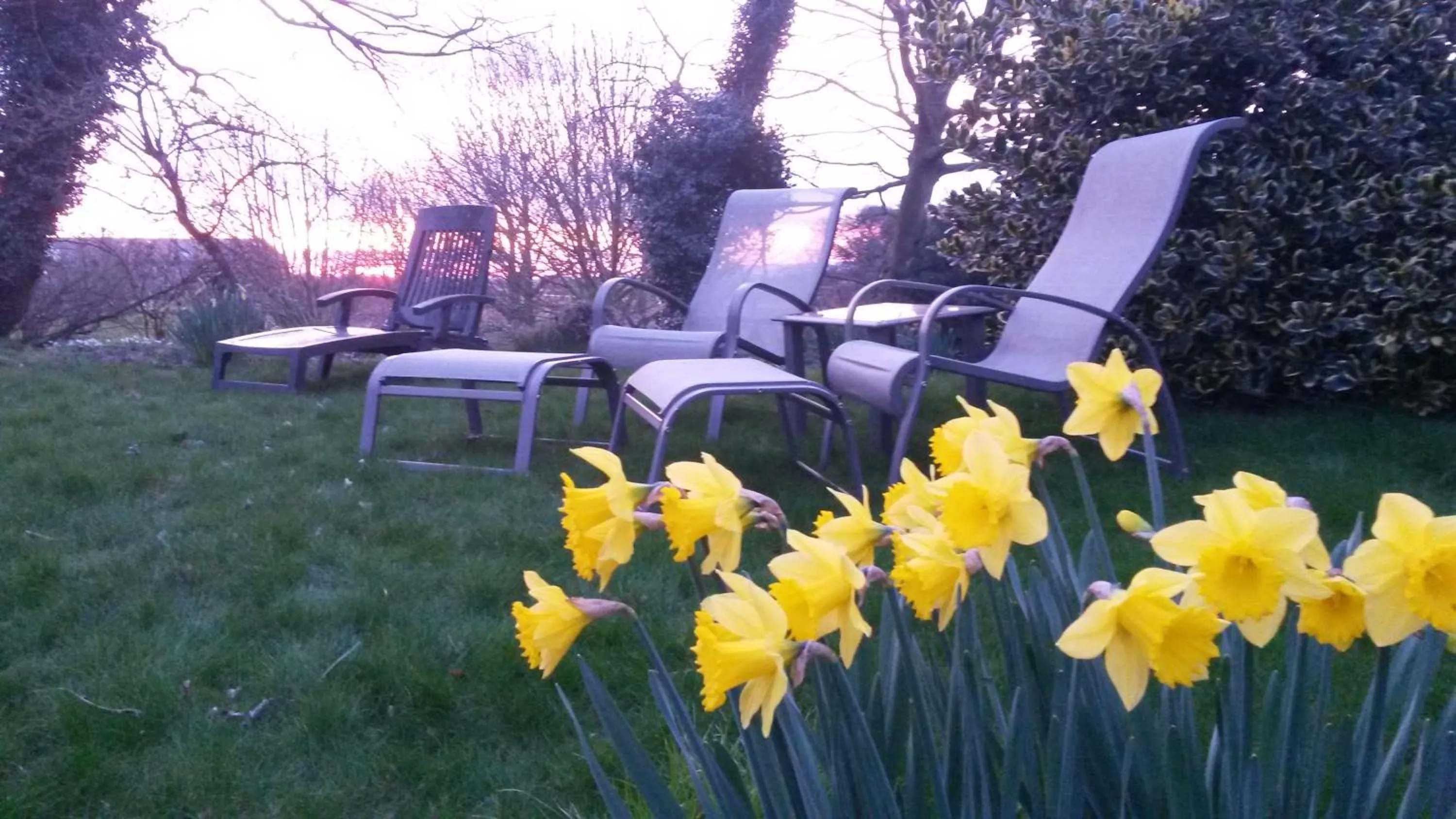 Garden in Orchard Lodge & Wolds Restaurant