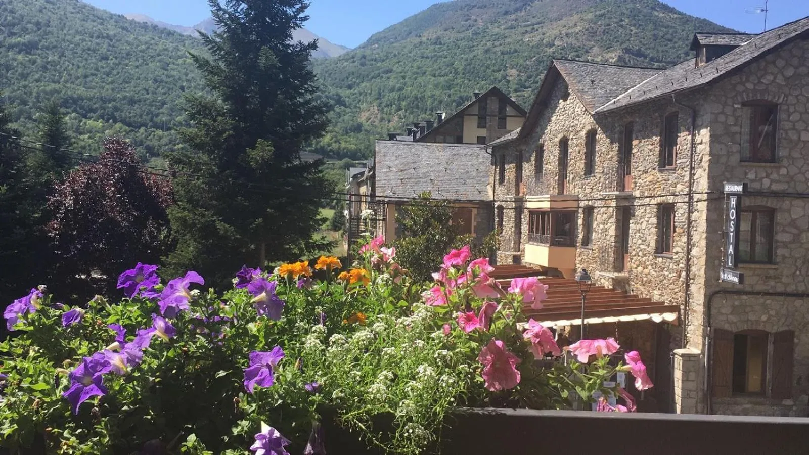 Street view in Hotel Vall d´Aneu