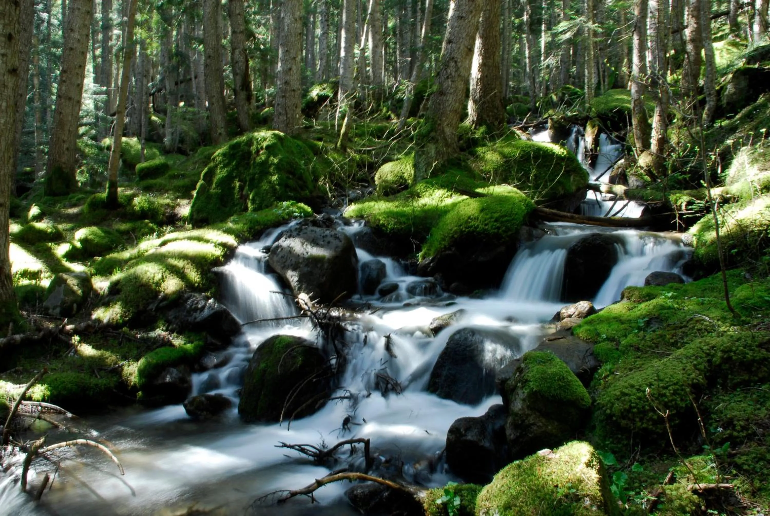 Natural landscape in Hotel Vall d´Aneu