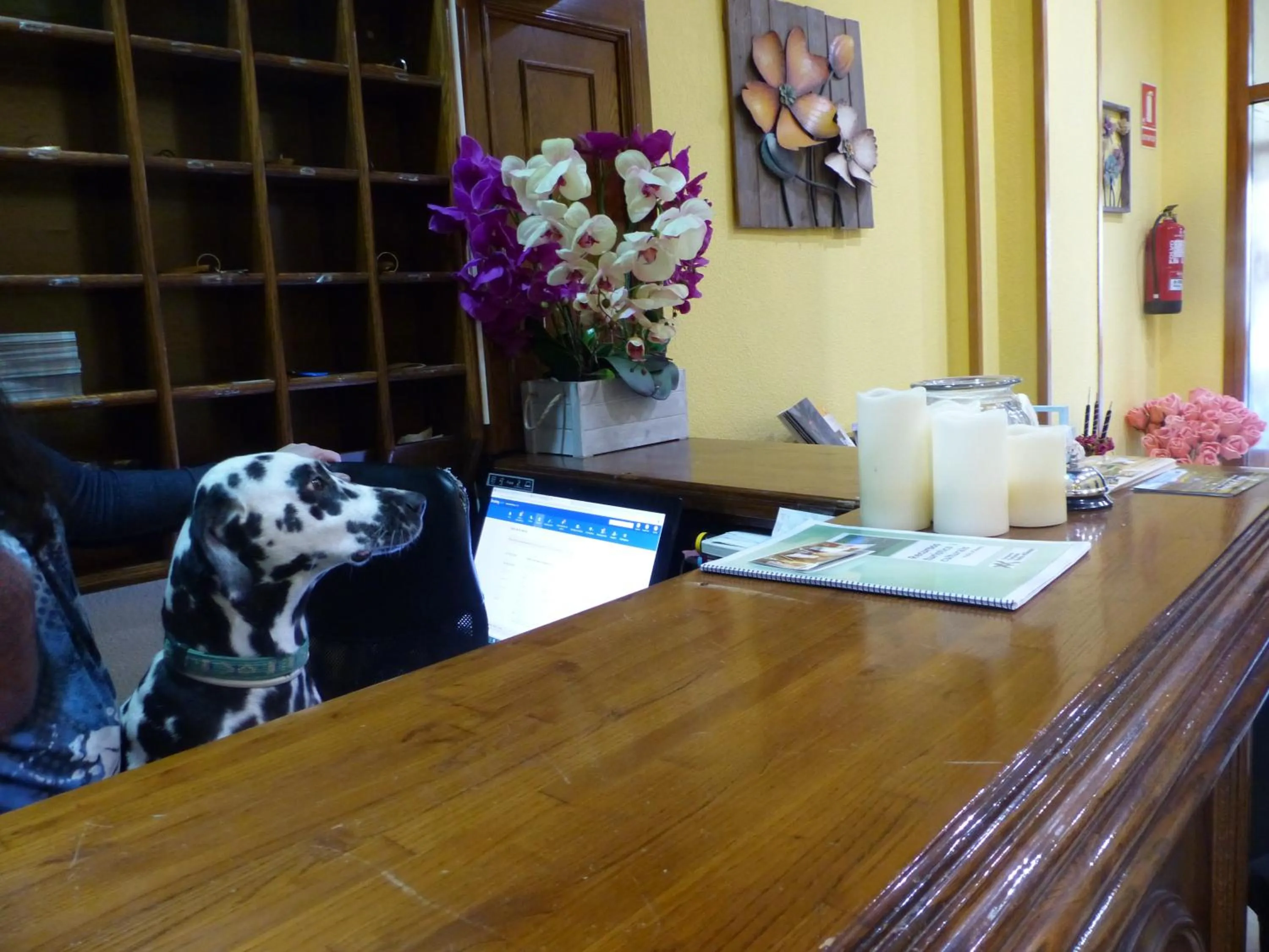 Pets in Hotel Vall d´Aneu