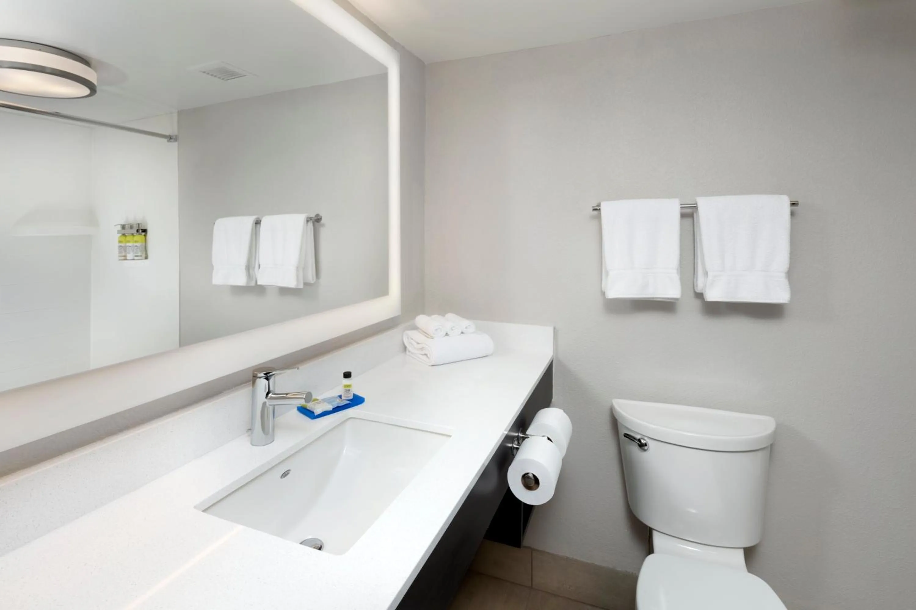 Bathroom in Holiday Inn Express Middlesboro by IHG