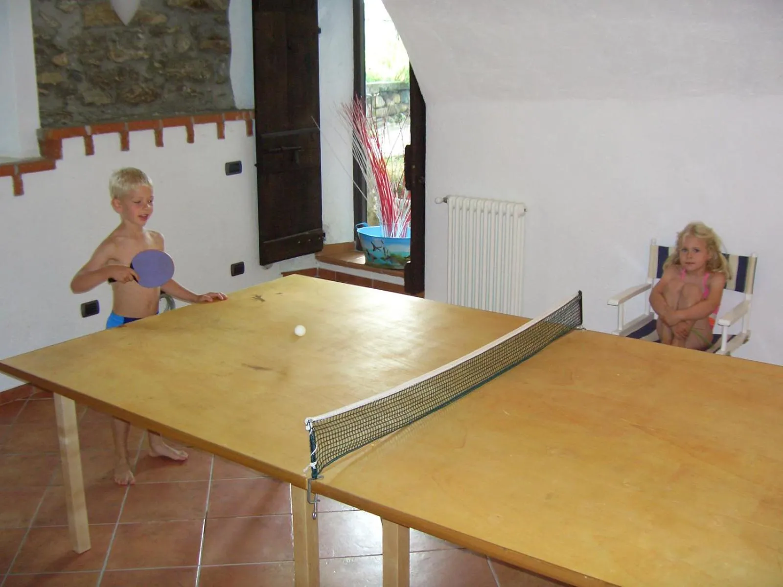 Table tennis in Barolo