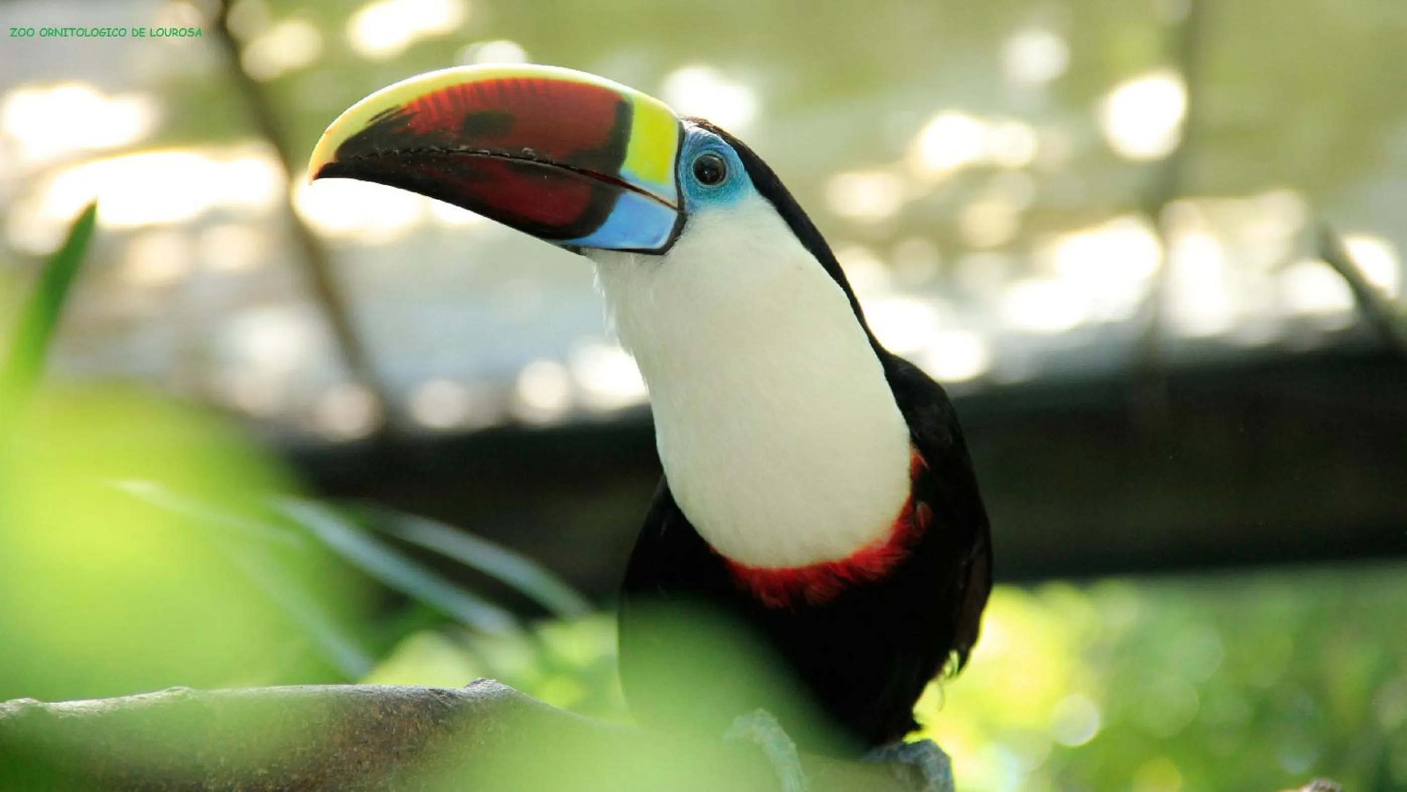 Nearby landmark in Nova Cruz Hotel