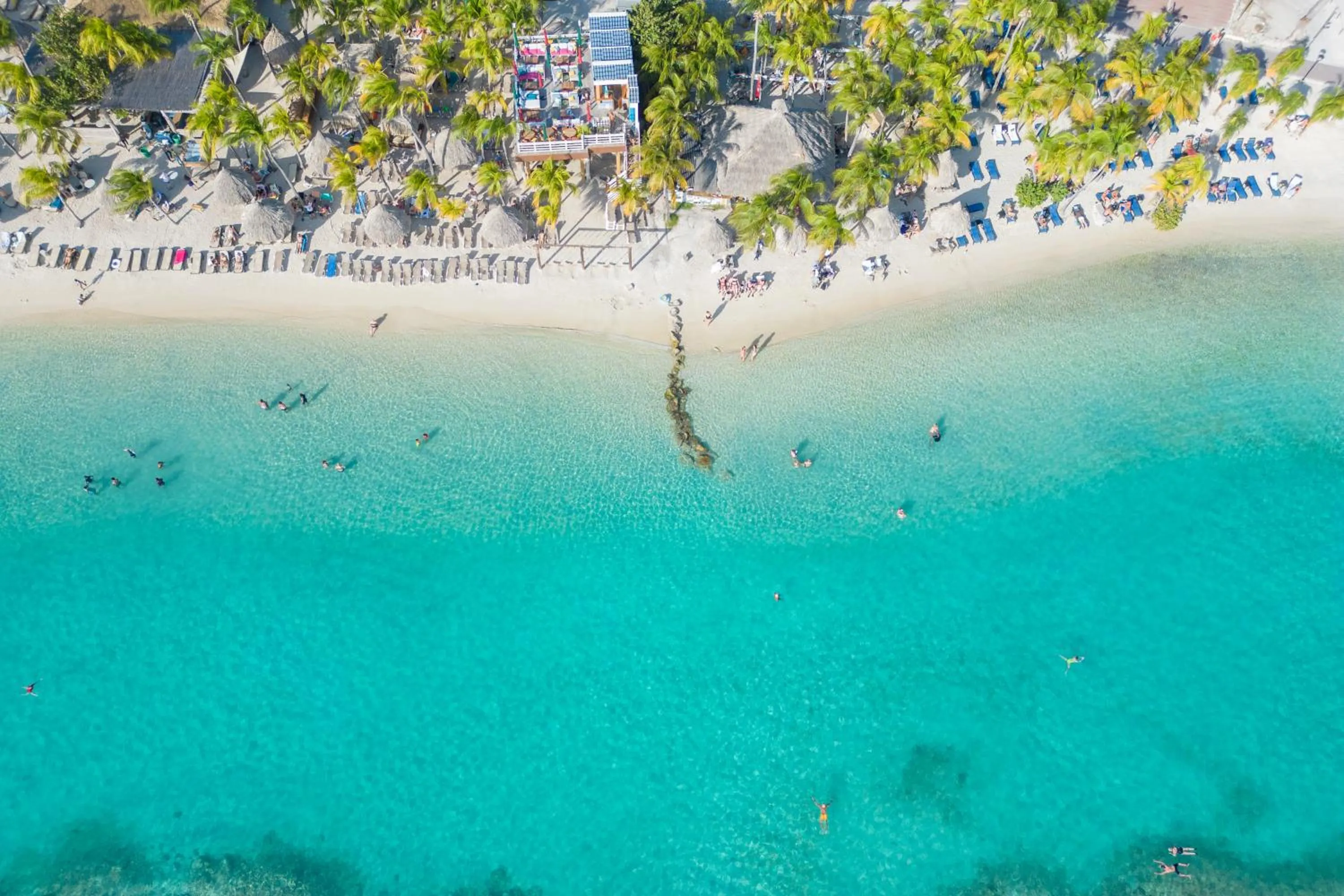 Beach in Dolphin Suites & Wellness Curacao