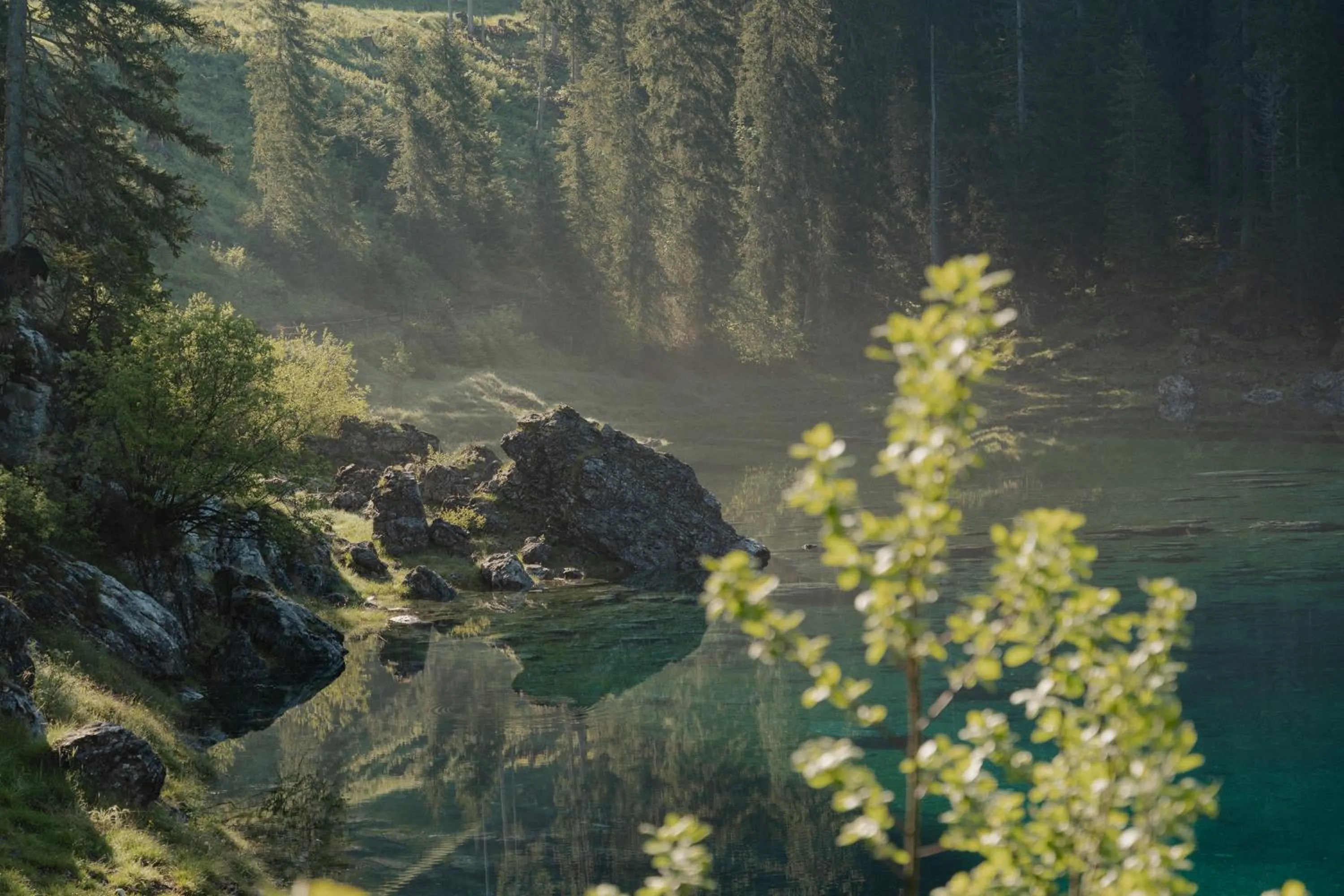 Natural landscape in Hotel Alpenrose