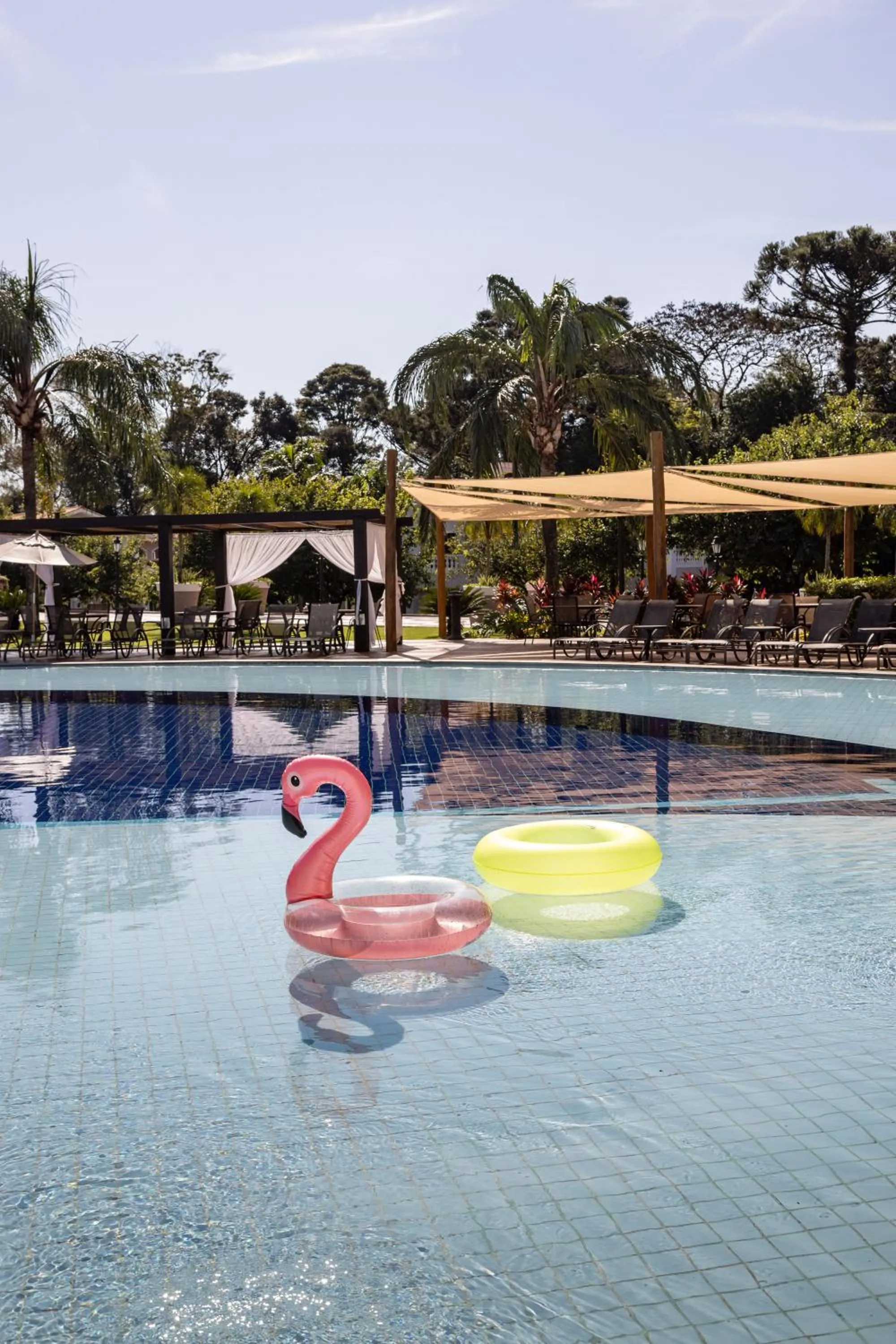 Day in Wish Foz do Iguaçu