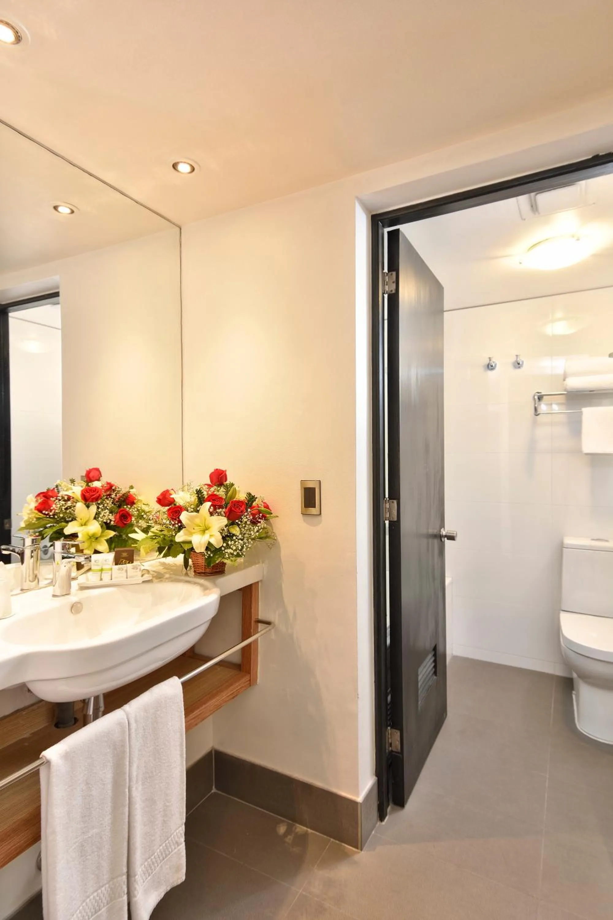 Bathroom in Hotel Eurotel Providencia