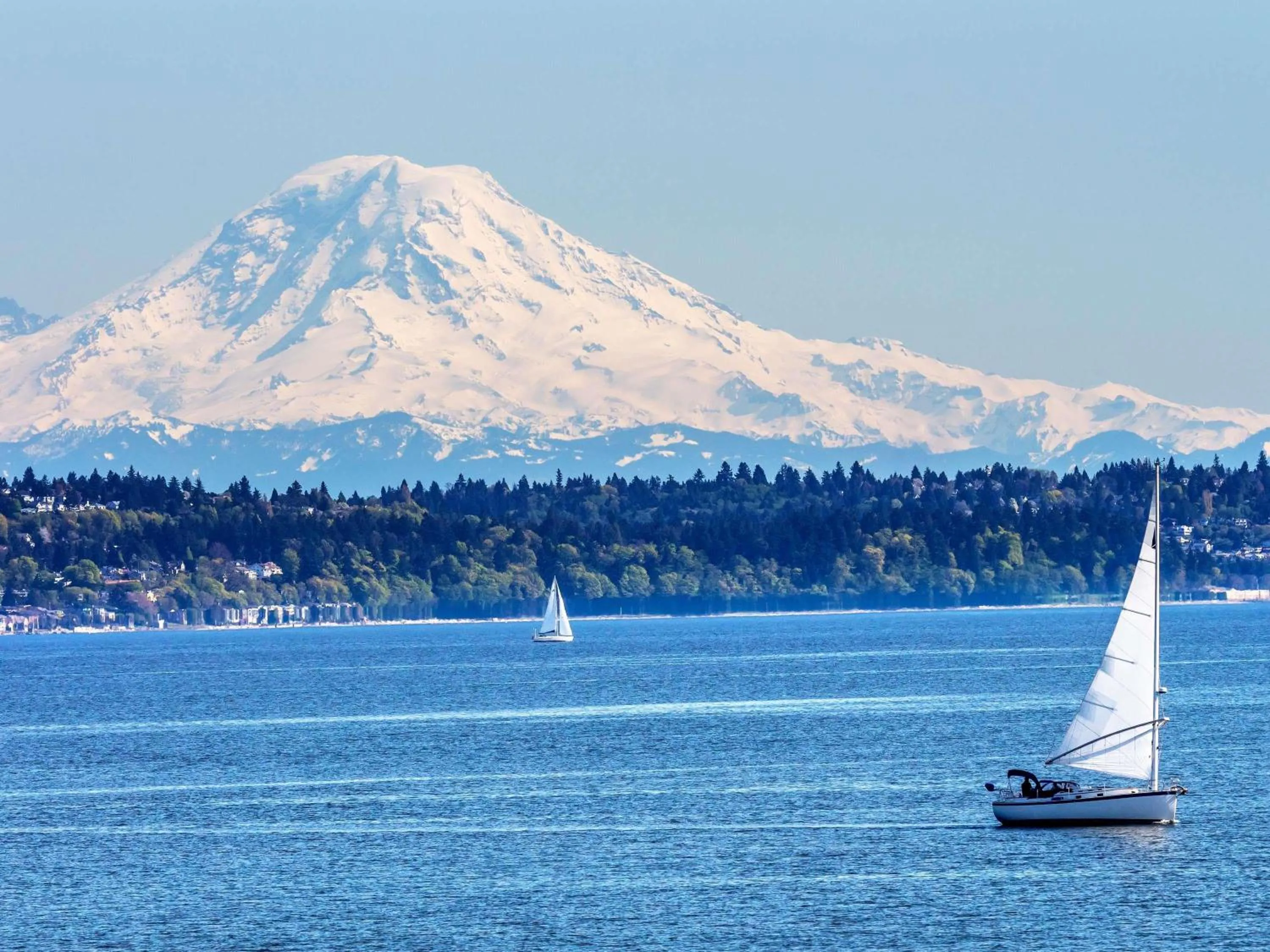 Pool view in Fairmont Olympic Hotel