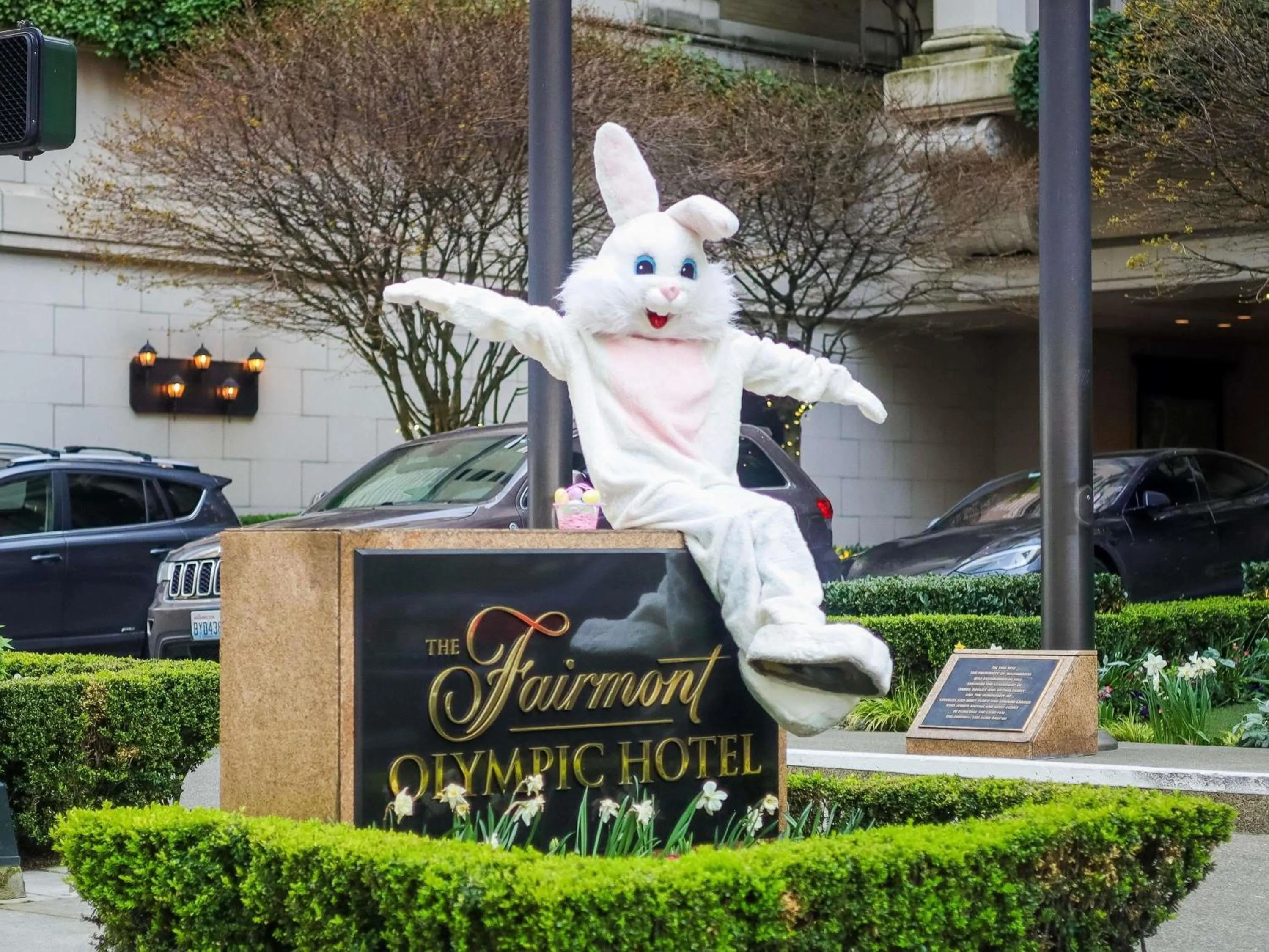 Restaurant/places to eat in Fairmont Olympic Hotel