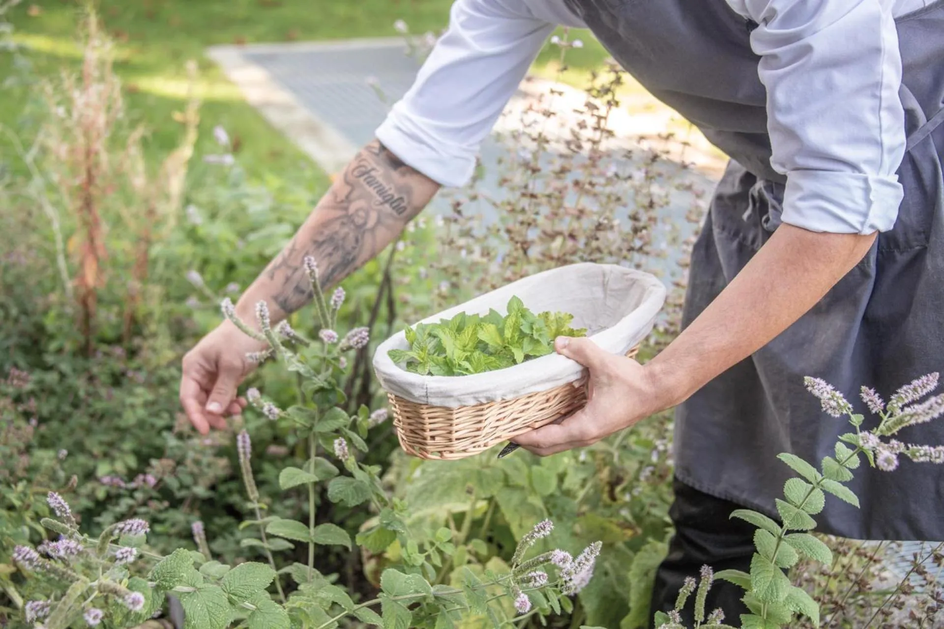 Breakfast in Hotel ANDER