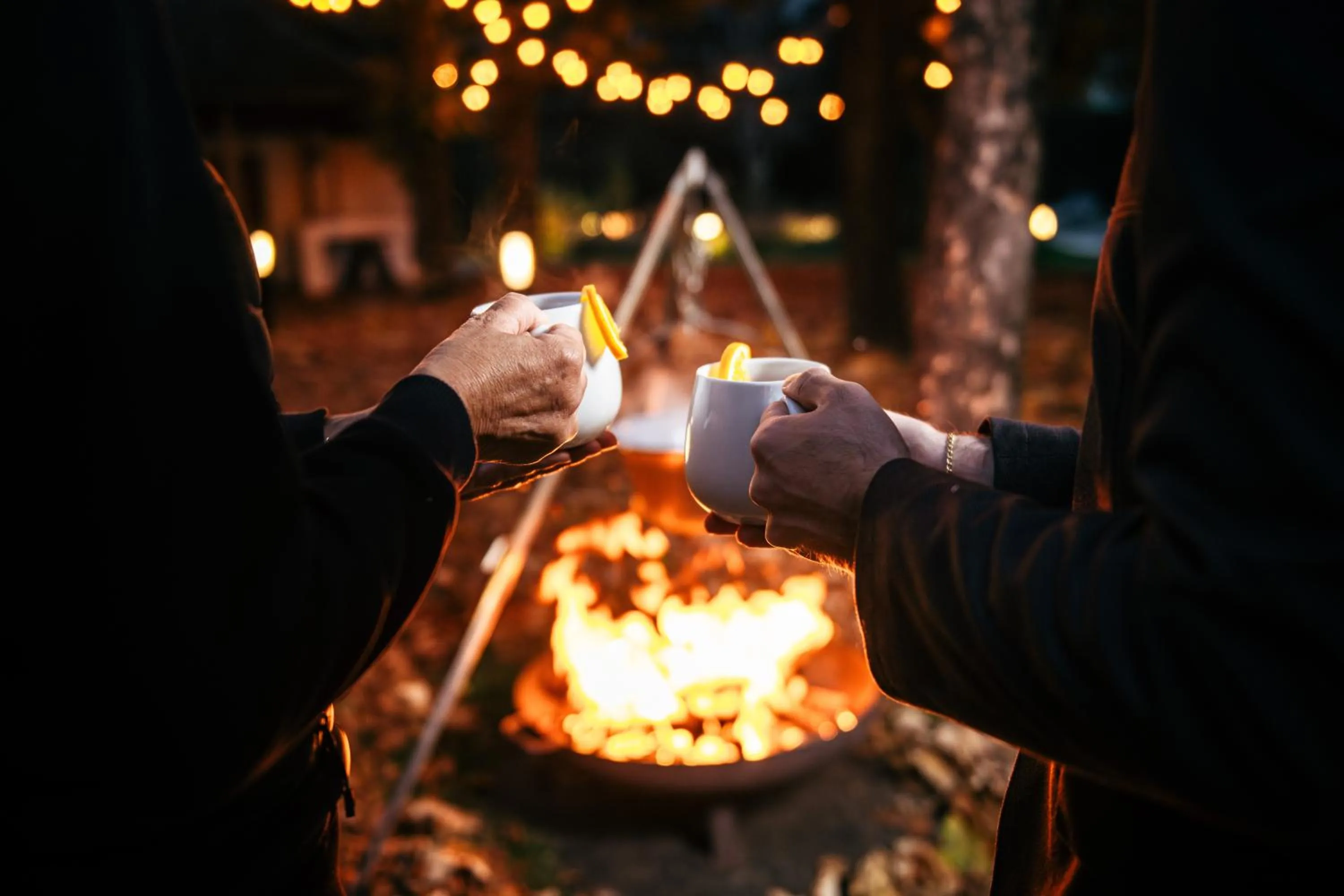 Night in Hotel ANDER