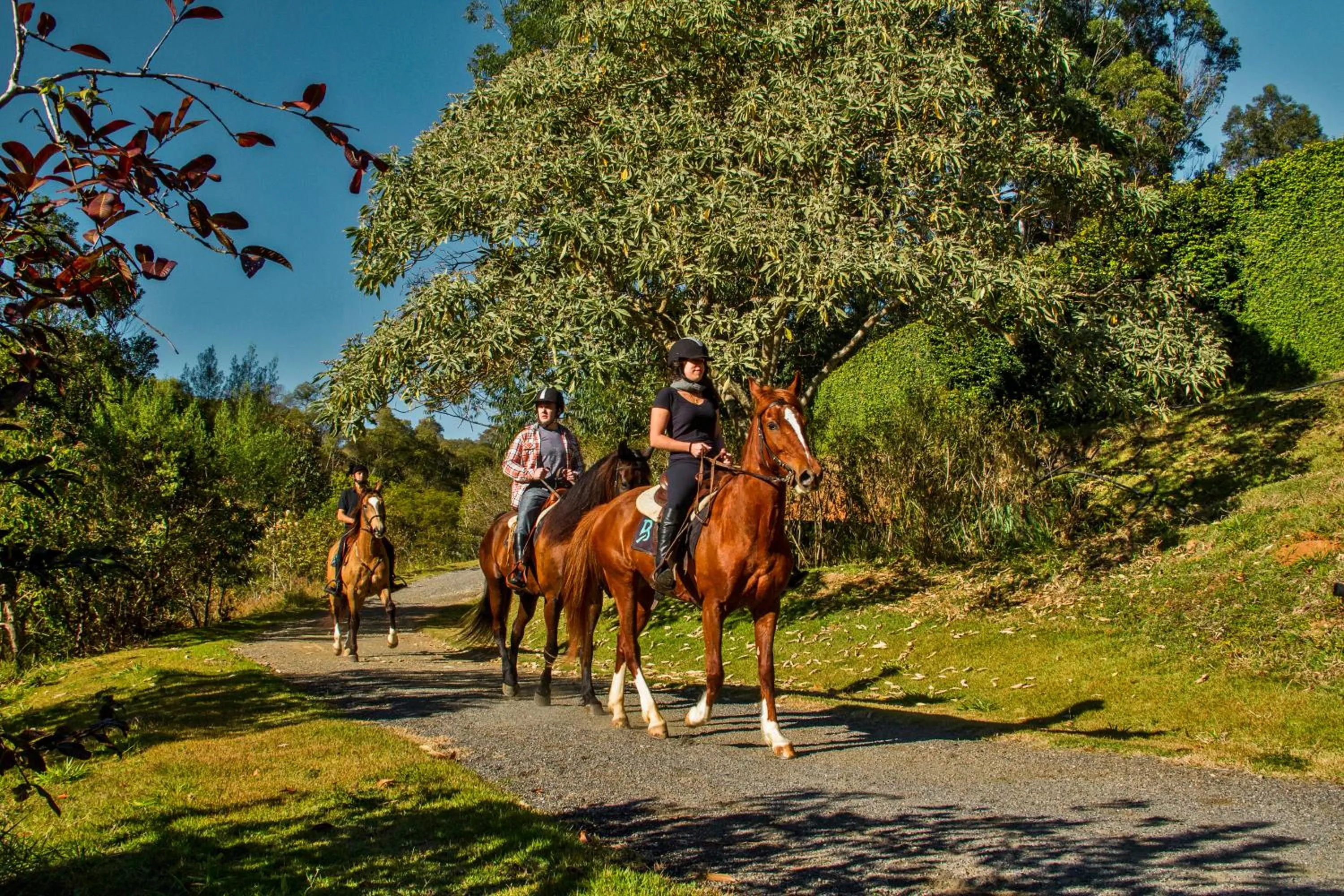 Horse-riding in Botanique Hotel Experience - Campos do Jordão