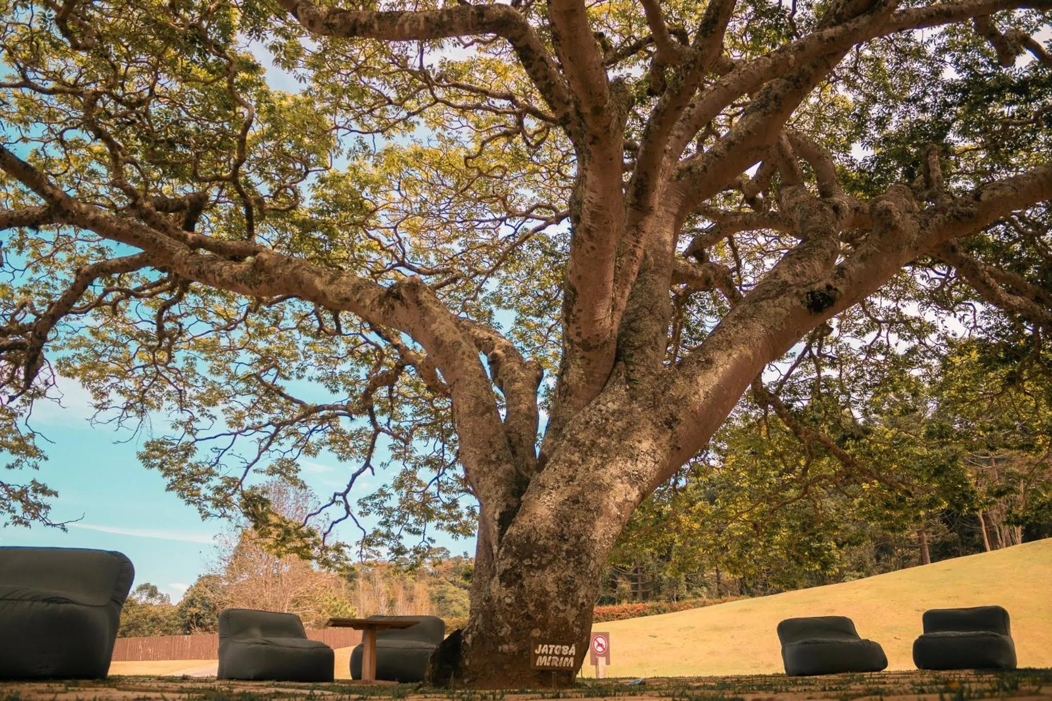 Natural landscape in Botanique Hotel Experience - Campos do Jordão