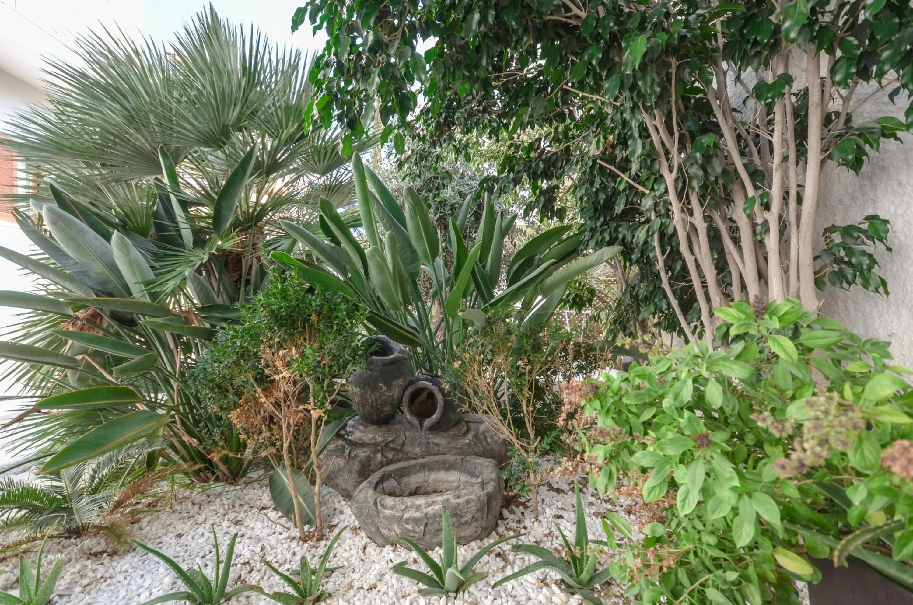 Garden view in Aeolis Boutique Hotel