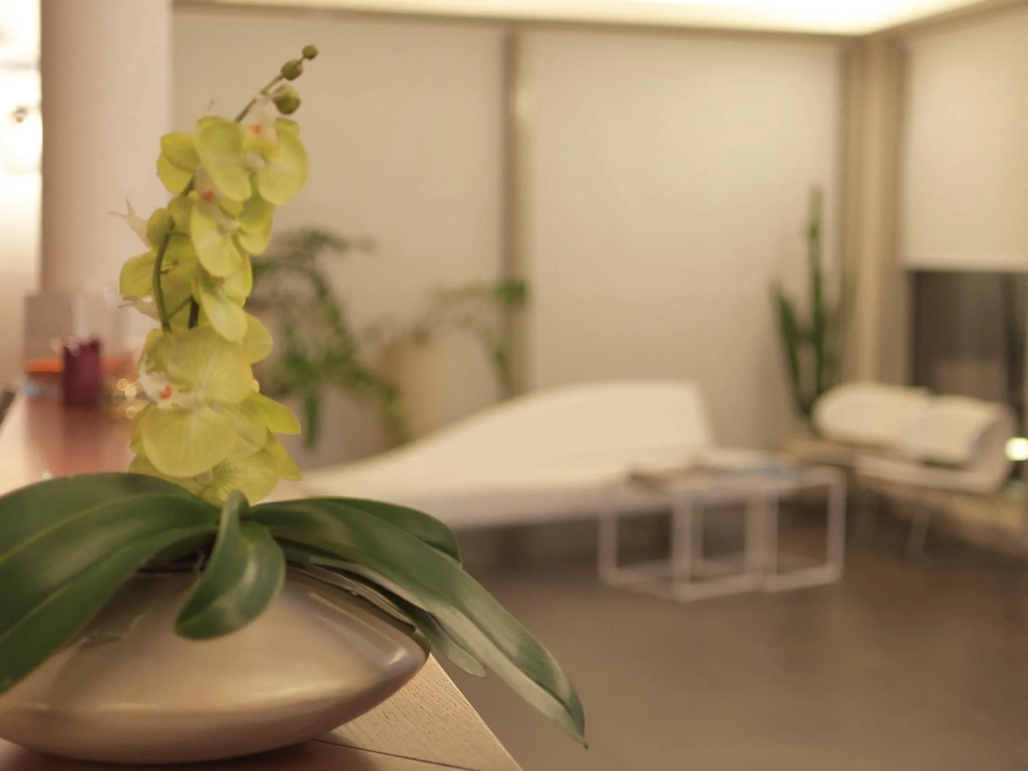 Lobby or reception in Hotel Cluentum