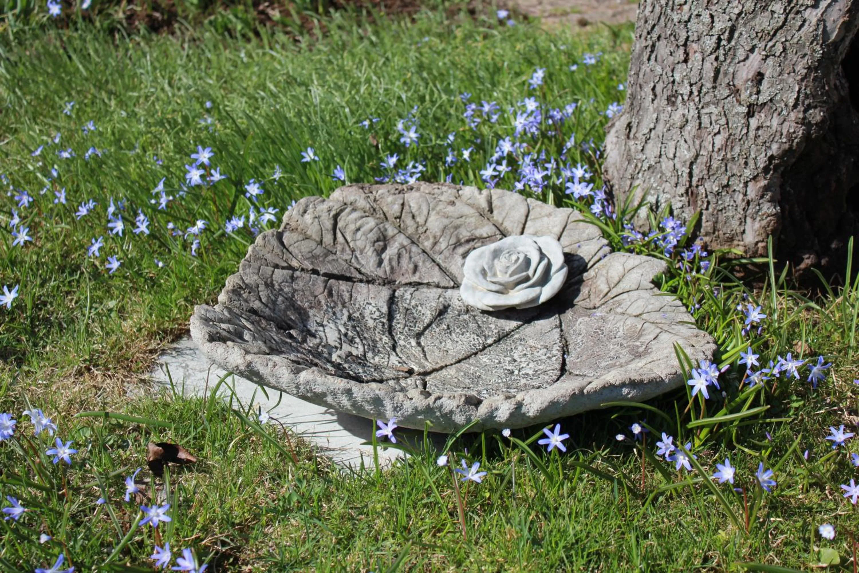 Garden in Villa Ingrid