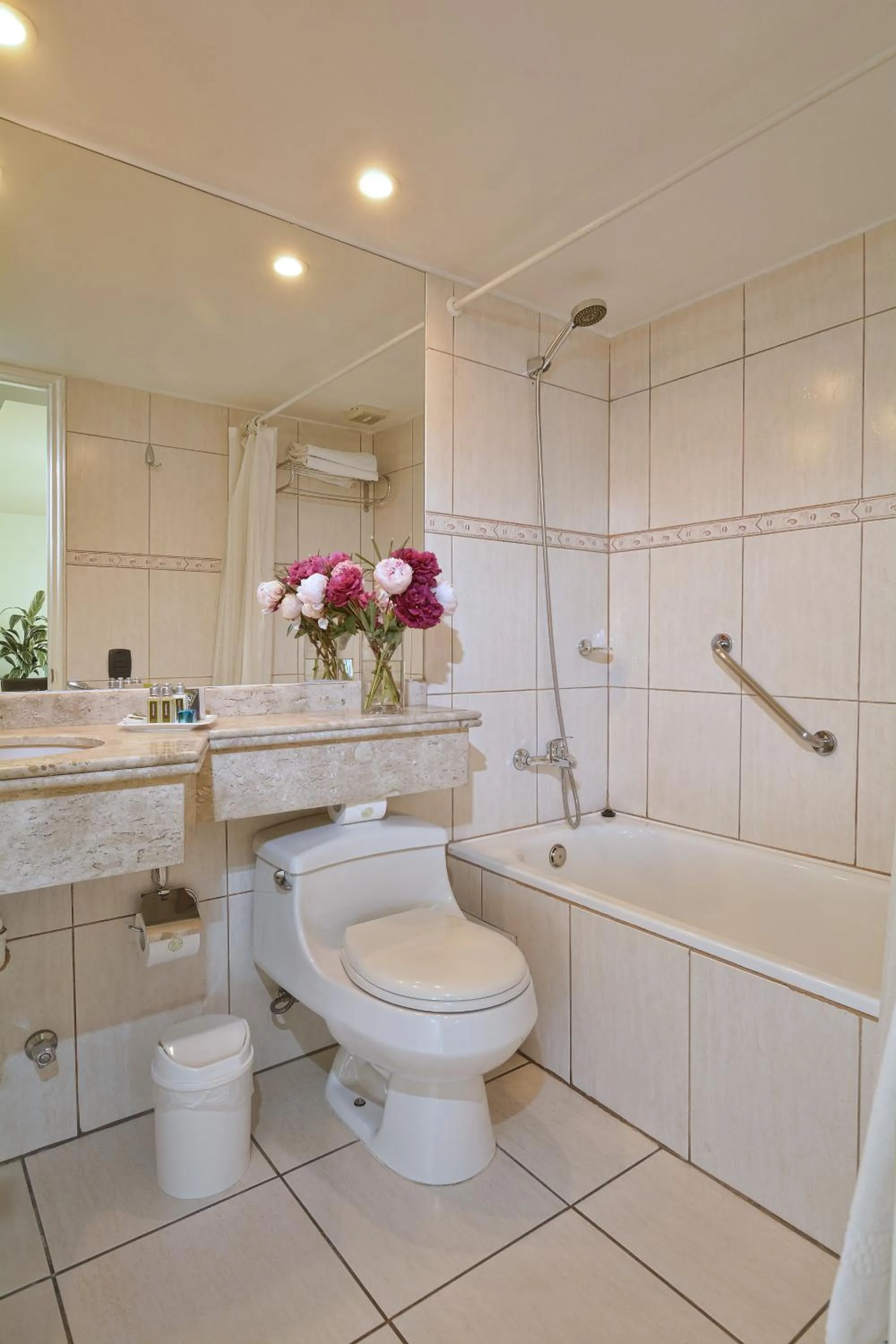 Bathroom in Hotel Eurotel El Bosque