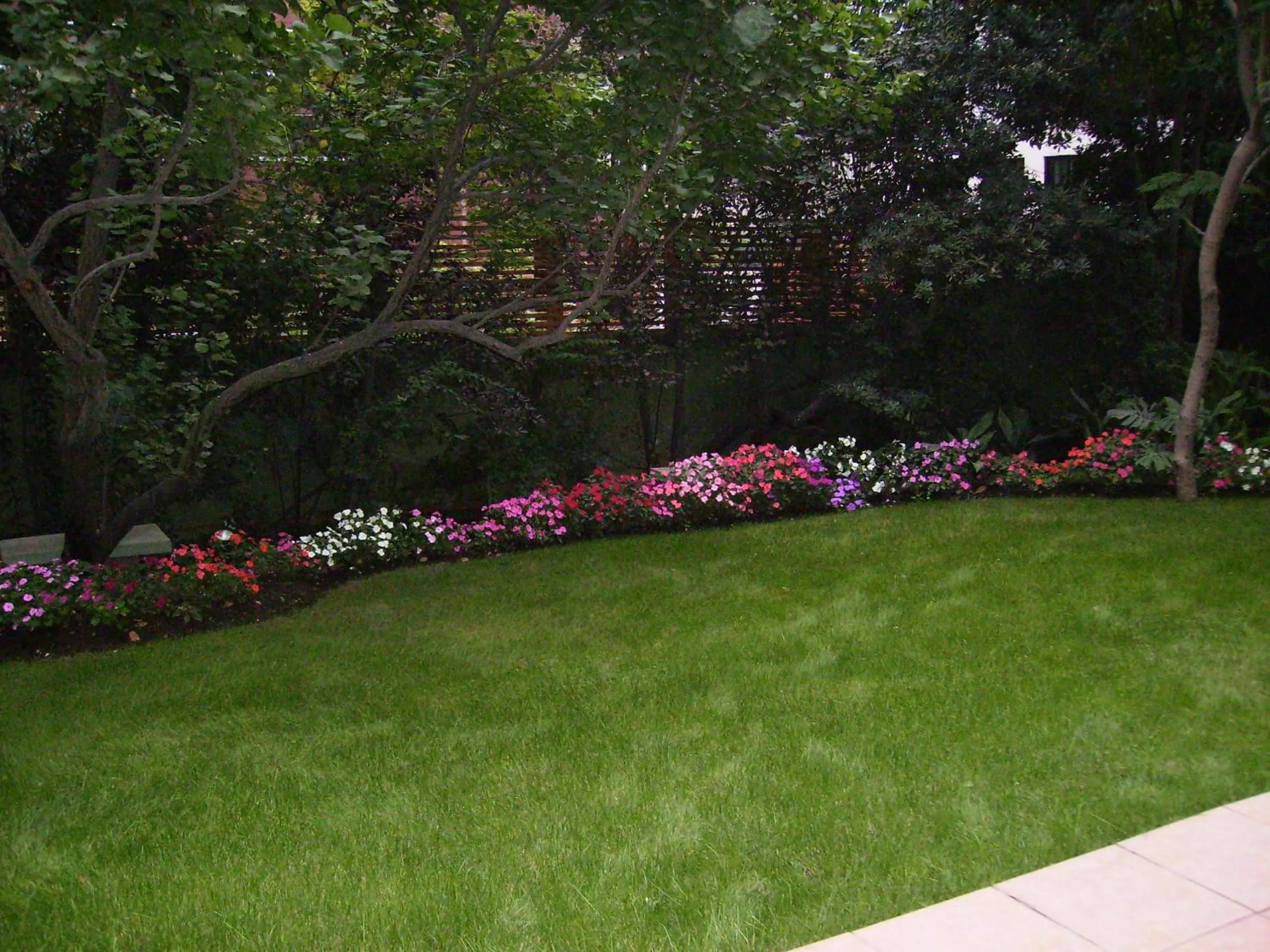 Spring in Hotel Eurotel El Bosque