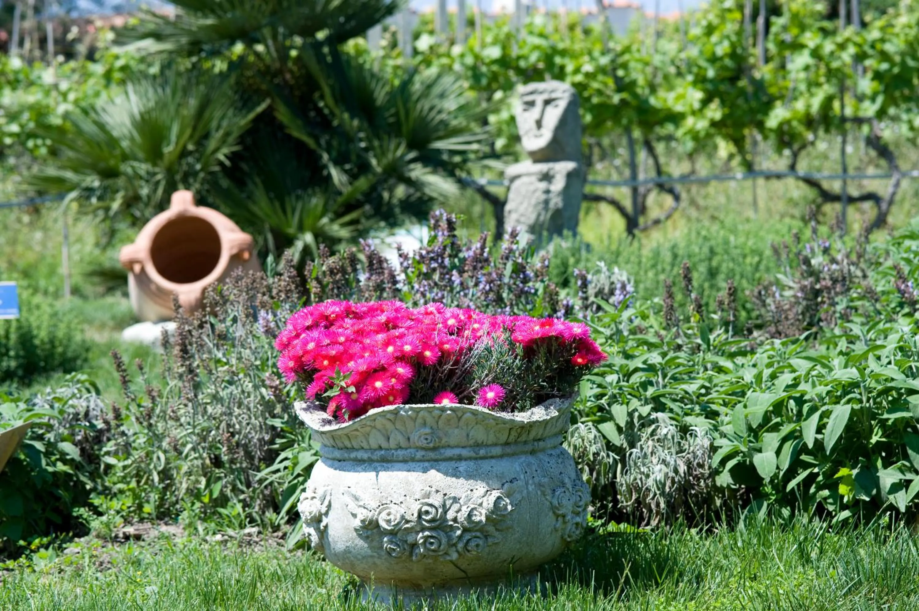 Garden in Hotel Terme Providence