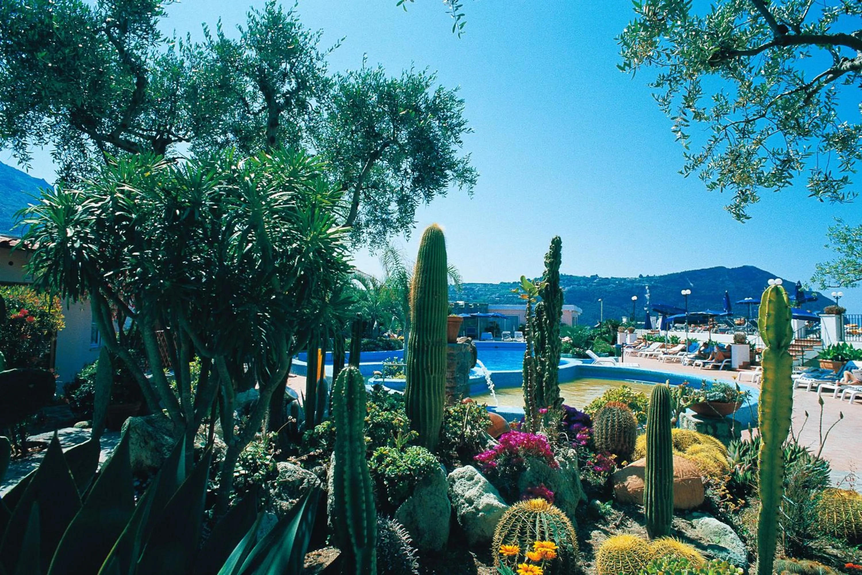 View (from property/room) in Hotel Terme Providence