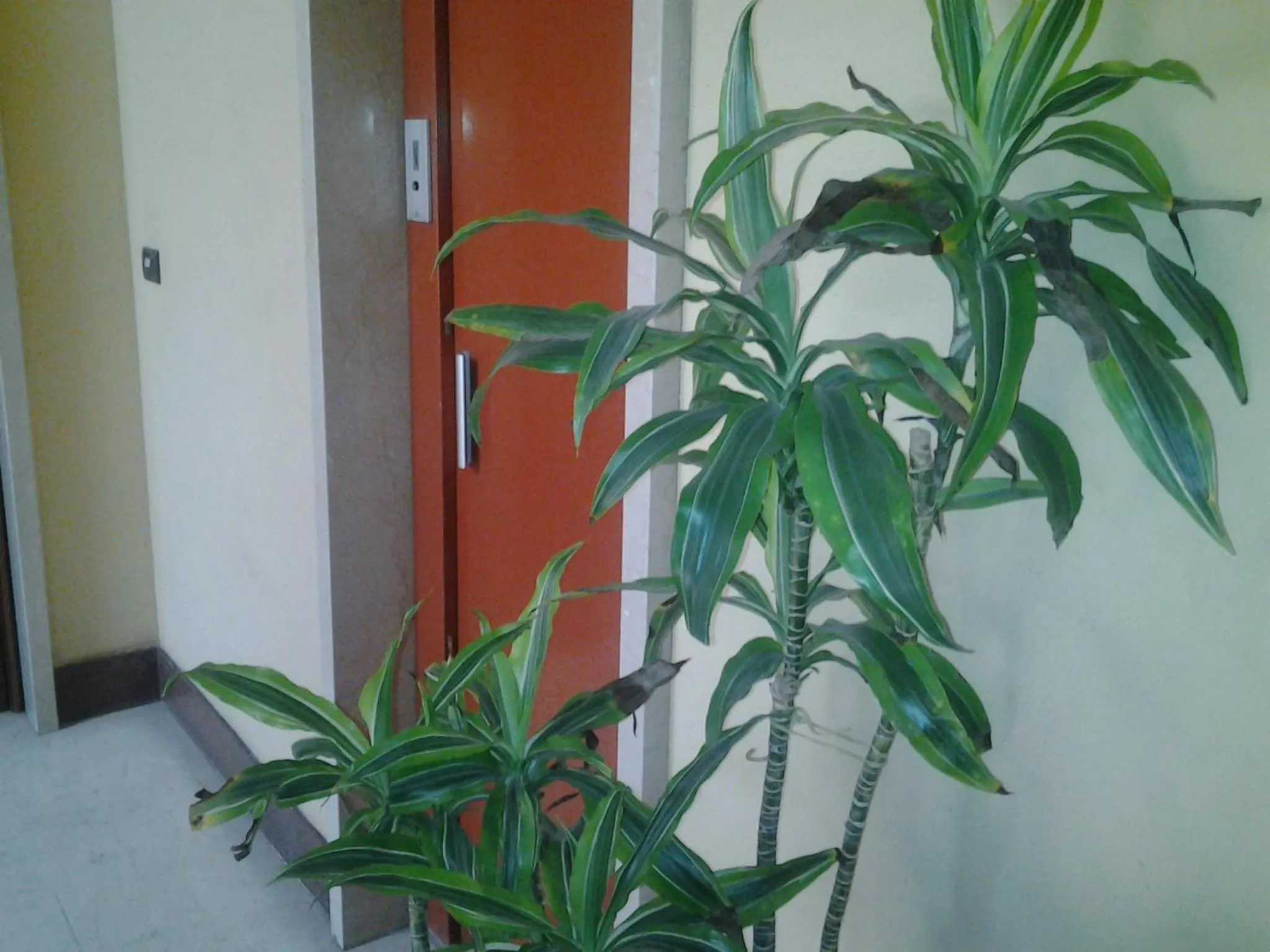 elevator in Olimpica Relais guest house