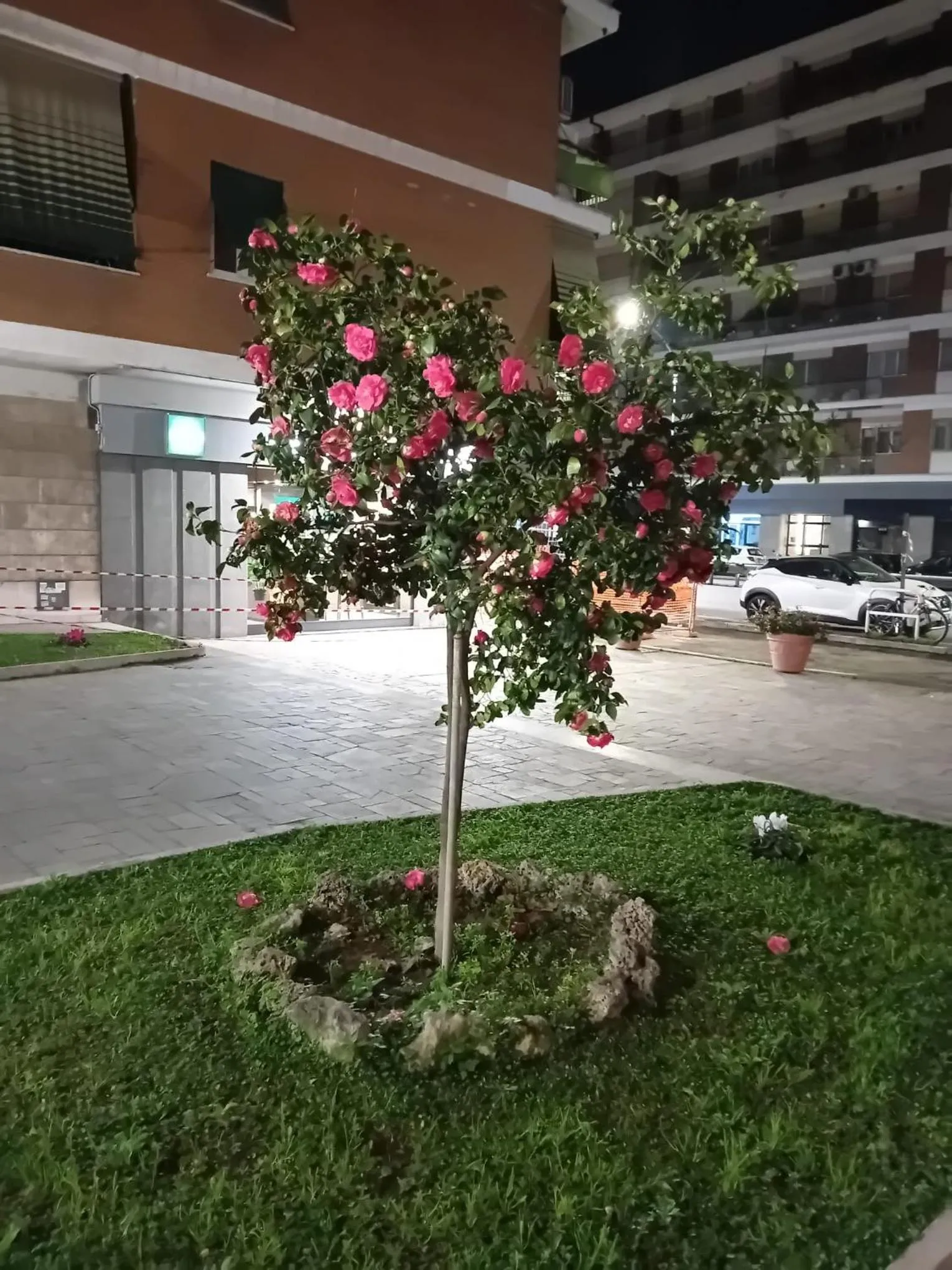 Property building in Olimpica Relais guest house