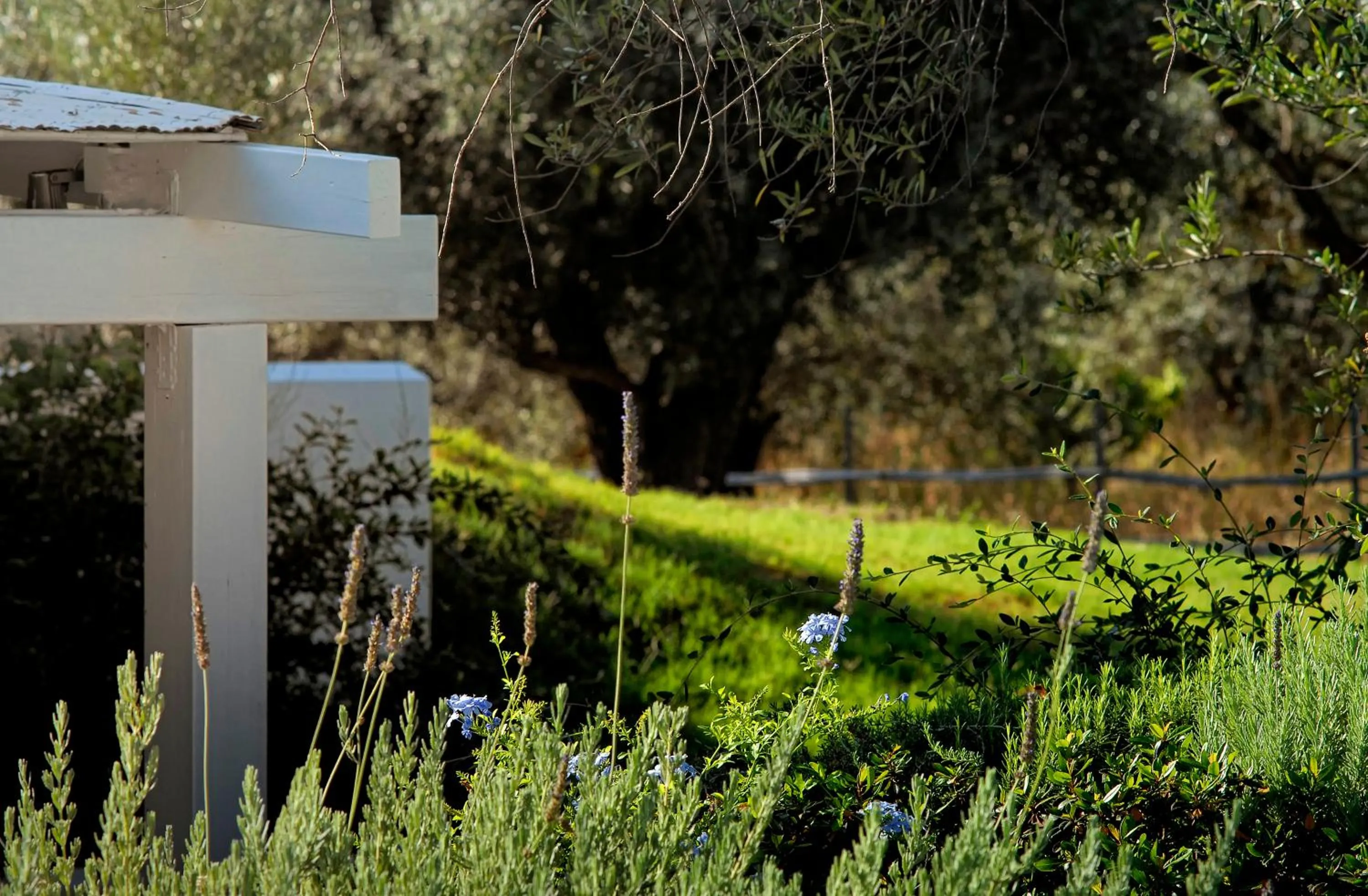 Facade/entrance in Olivemare