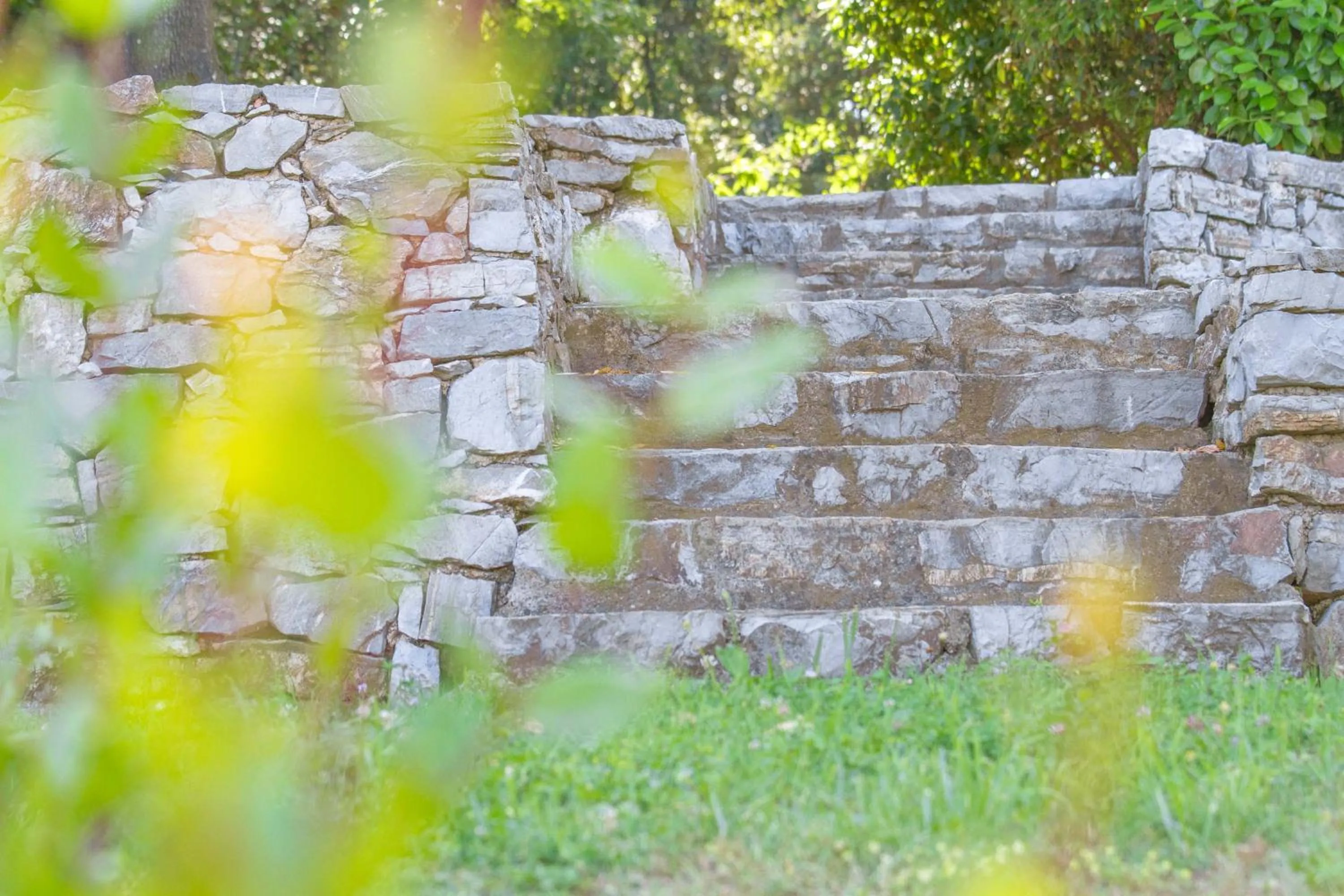 Garden in Holiday Prato Verde
