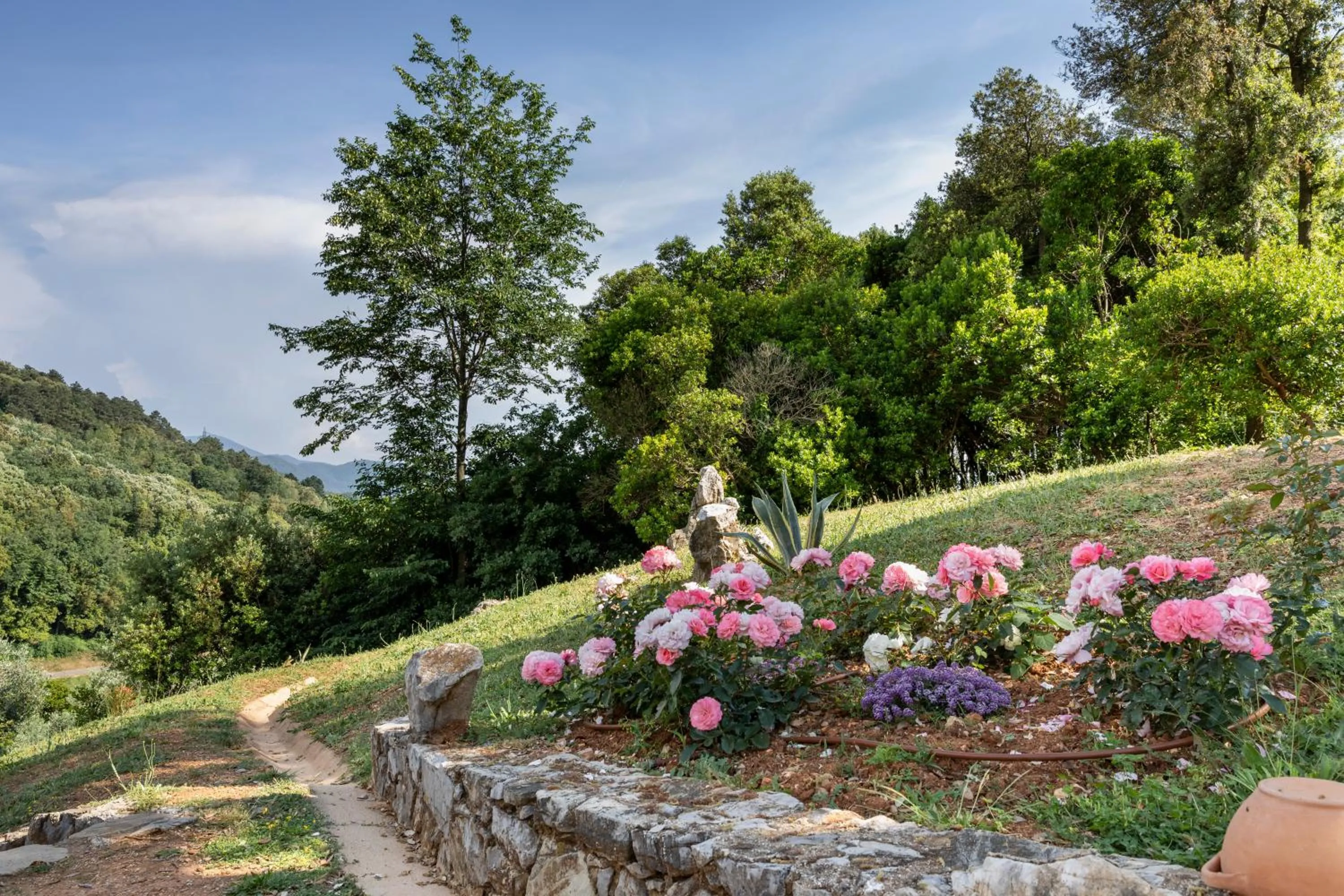 Garden in Holiday Prato Verde