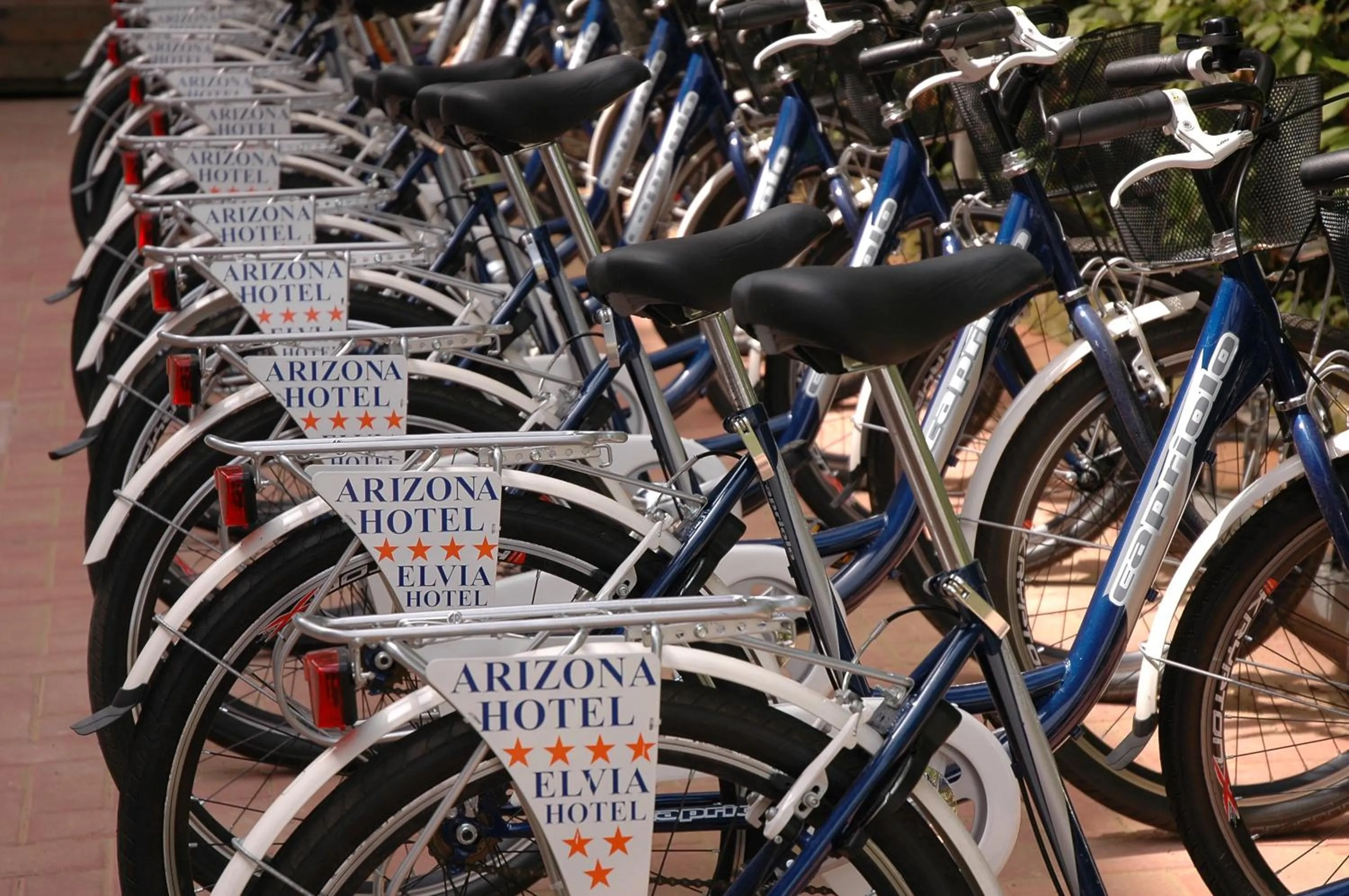 Cycling in Hotel Elvia