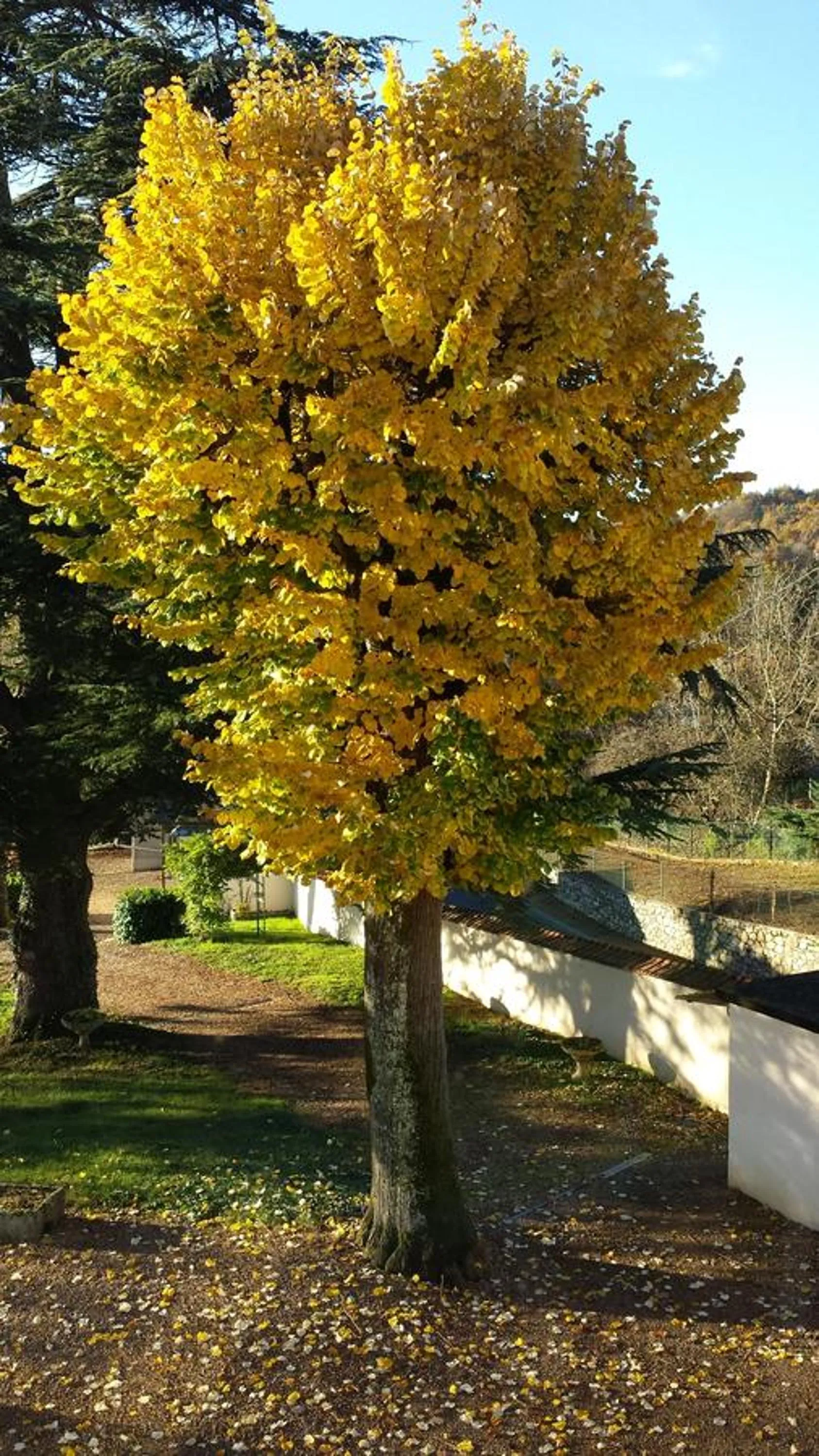 Other in Ma Tranquillite