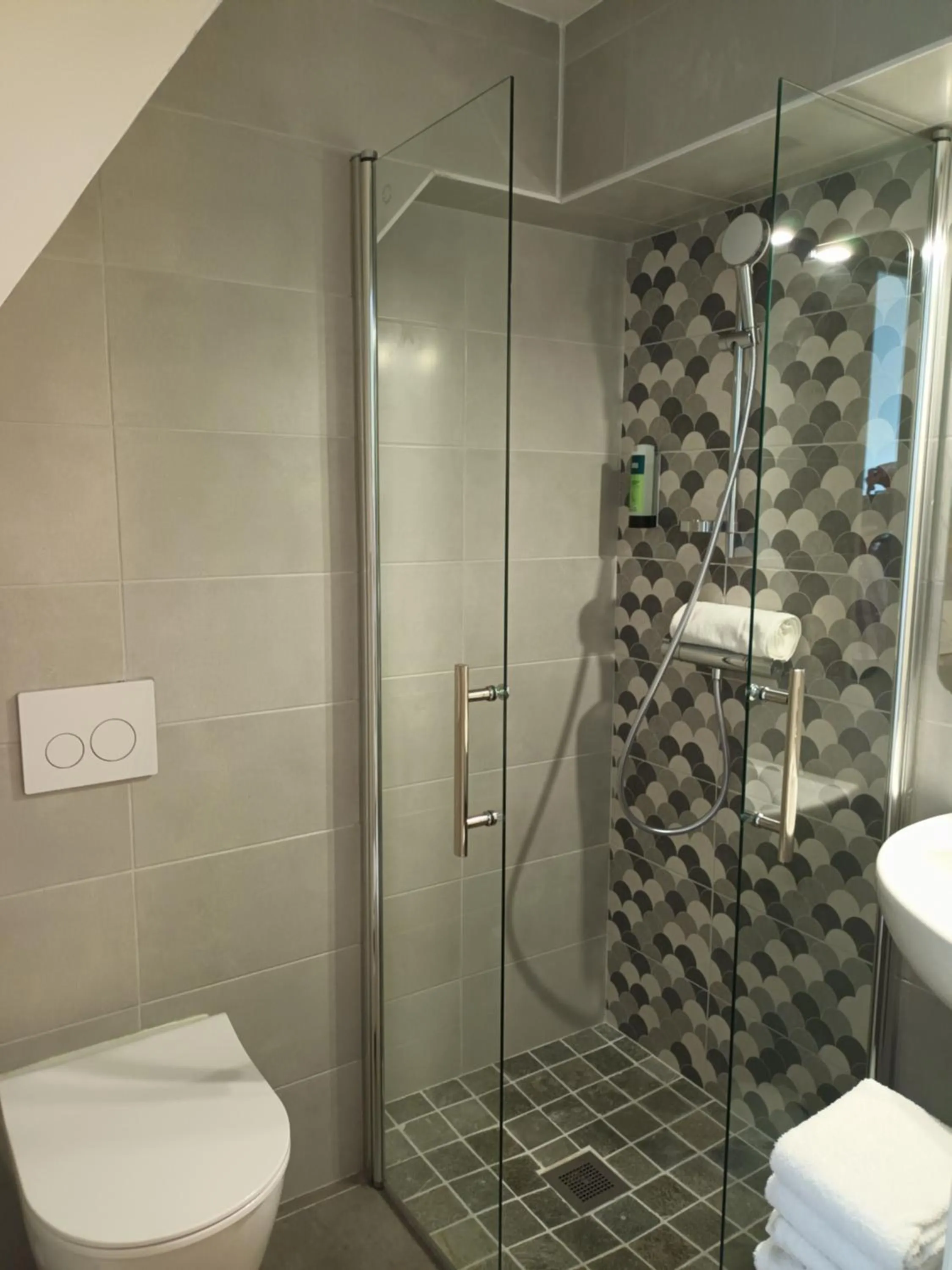 Shower in Hôtel-Restaurant Logis l'Aubrac Laguiole