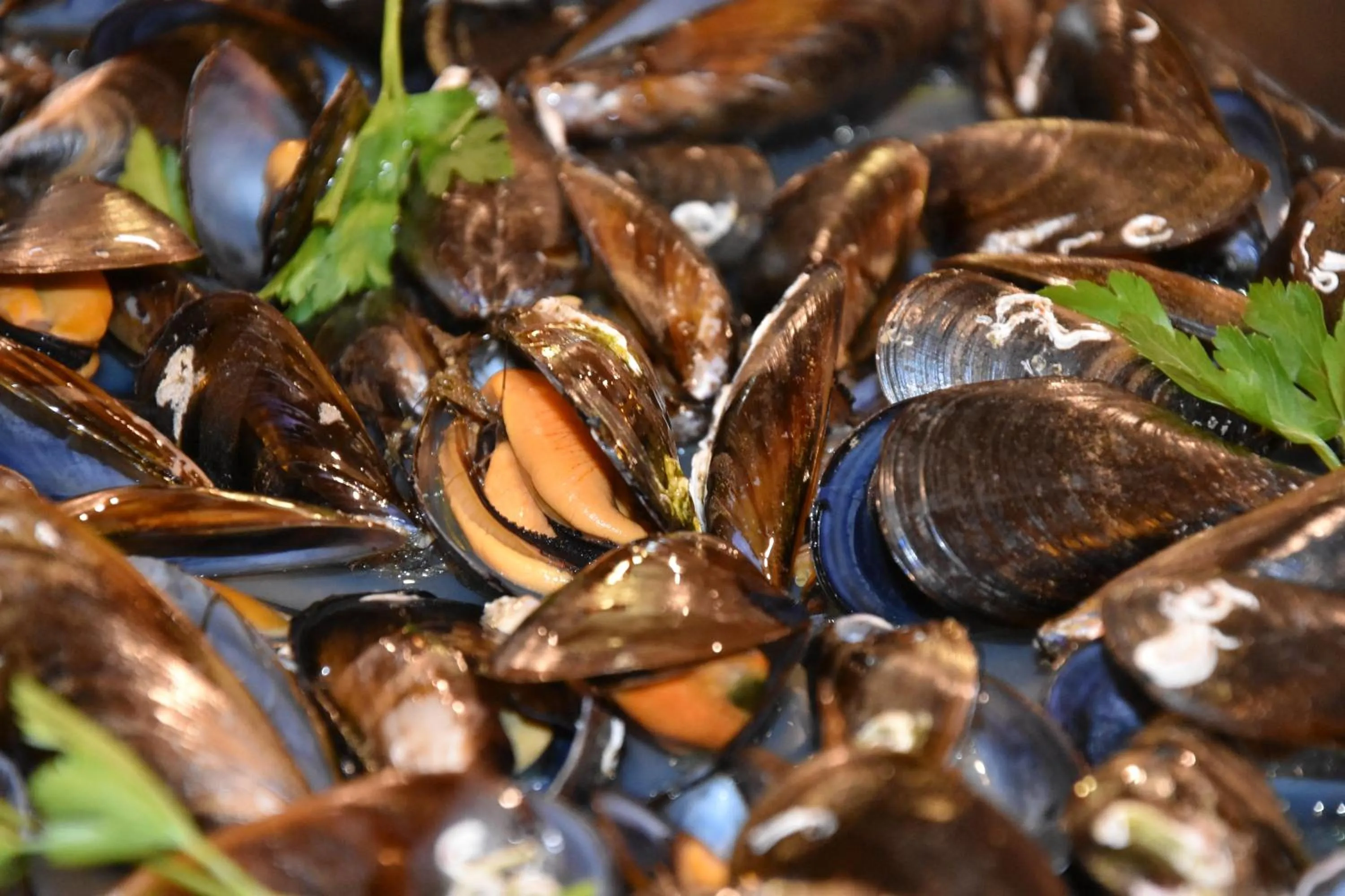 Restaurant/places to eat in Hotel SNÖ Edelweiss