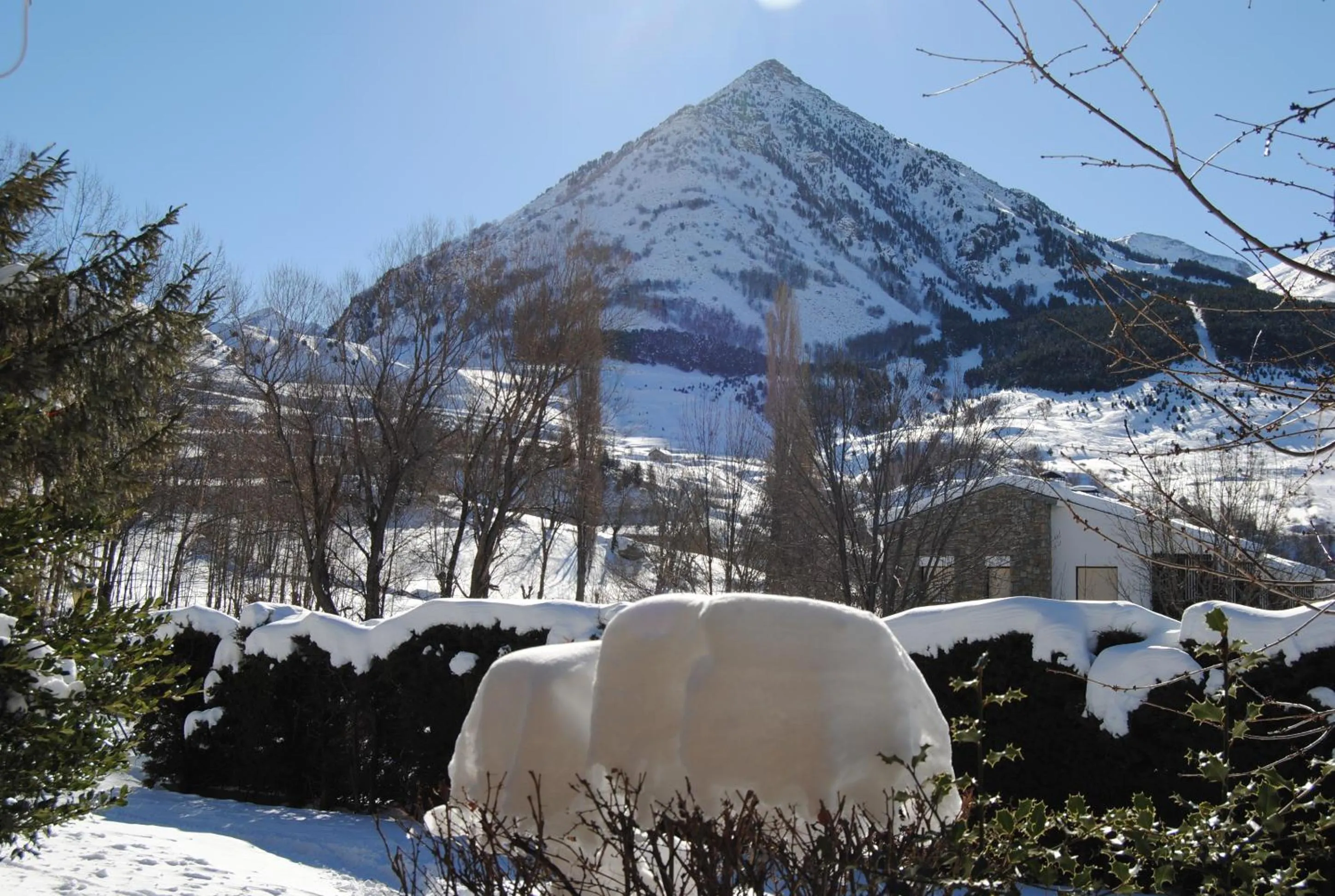 Natural landscape in Hotel SNÖ Edelweiss