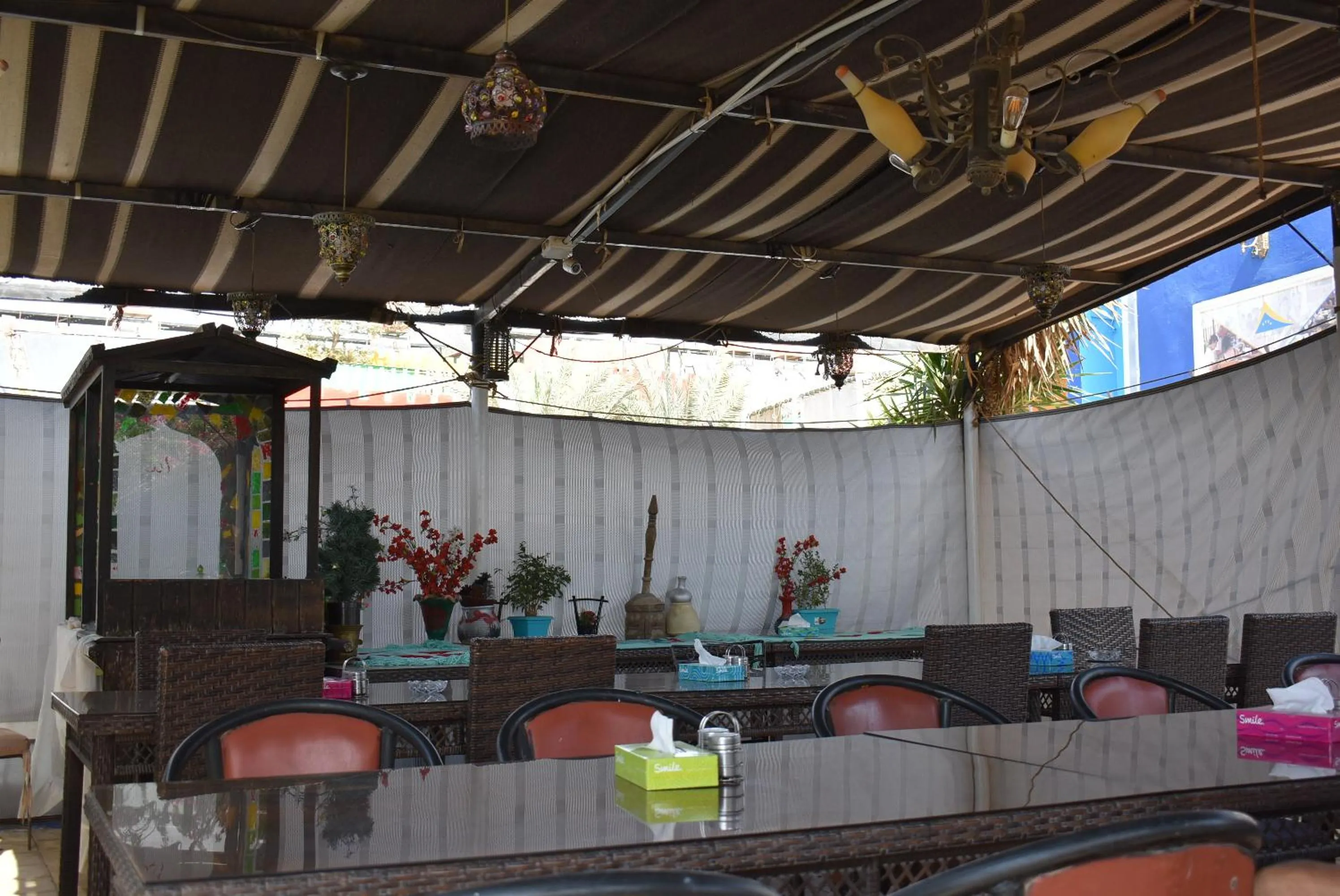 Restaurant/places to eat in Bedouin Garden Village, hotel Dive