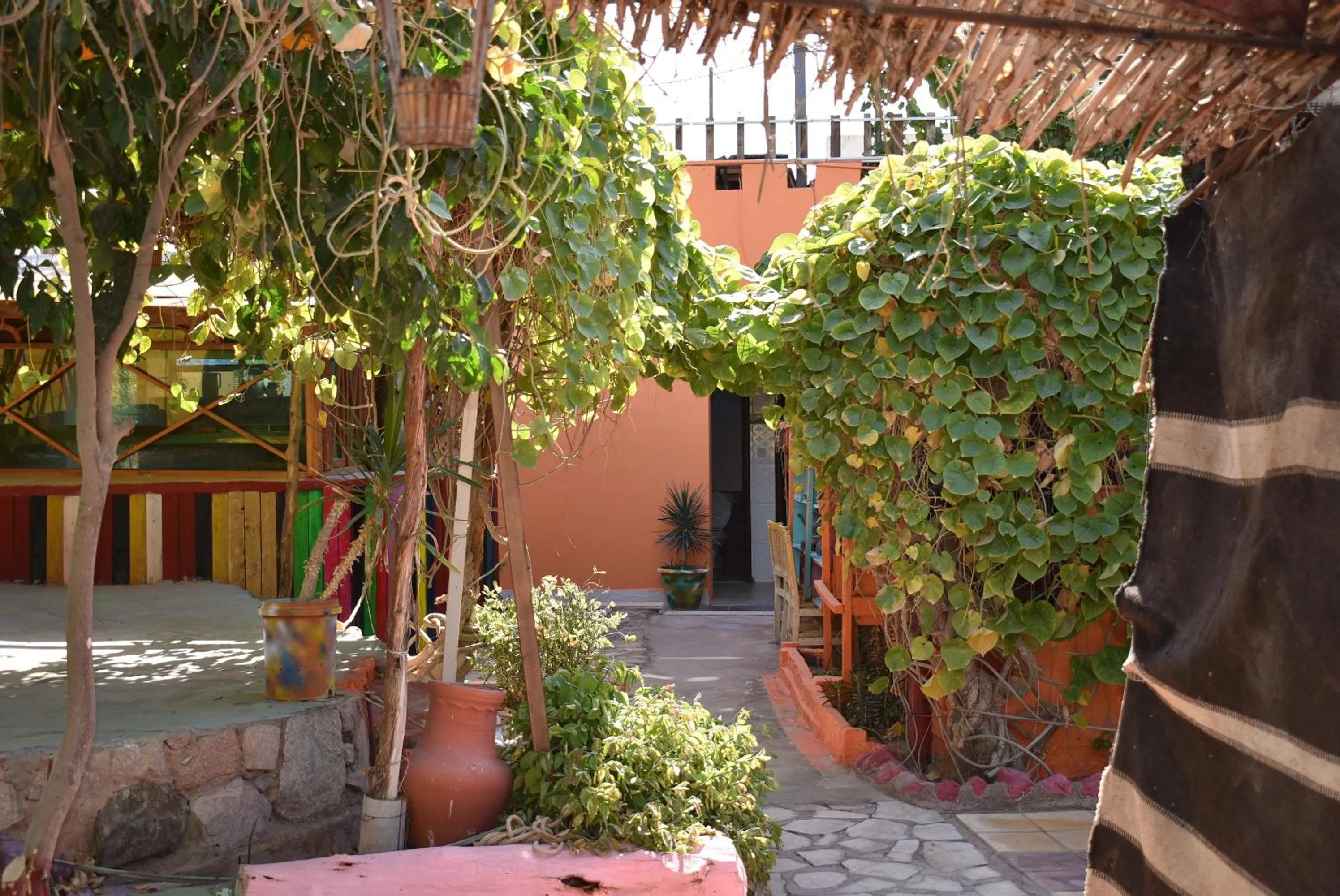 Garden in Bedouin Garden Village, hotel Dive