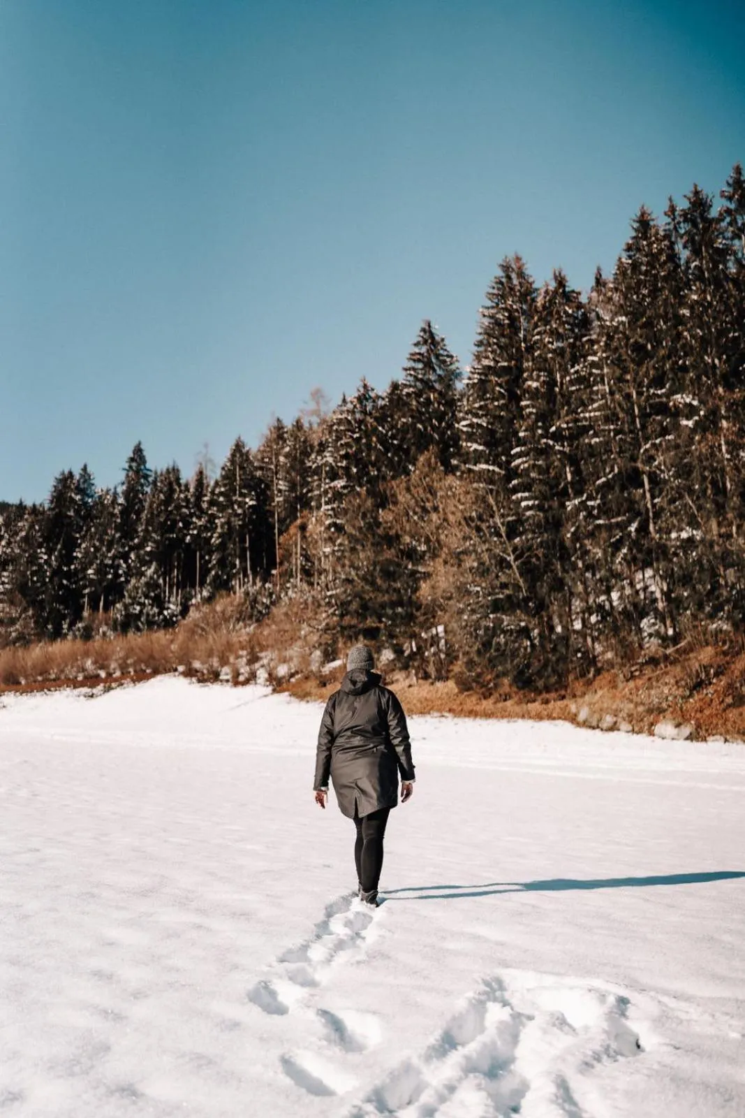 Garden in ASTER Boutique Hotel & Chalets