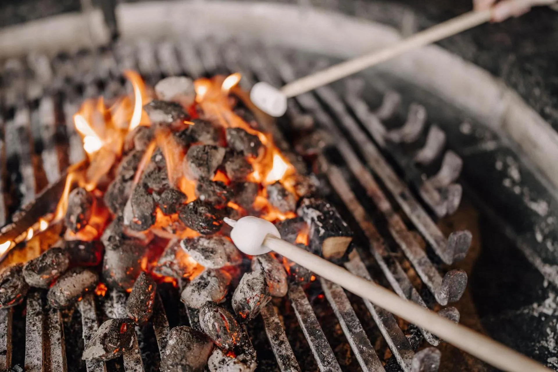 BBQ facilities in ASTER Boutique Hotel & Chalets