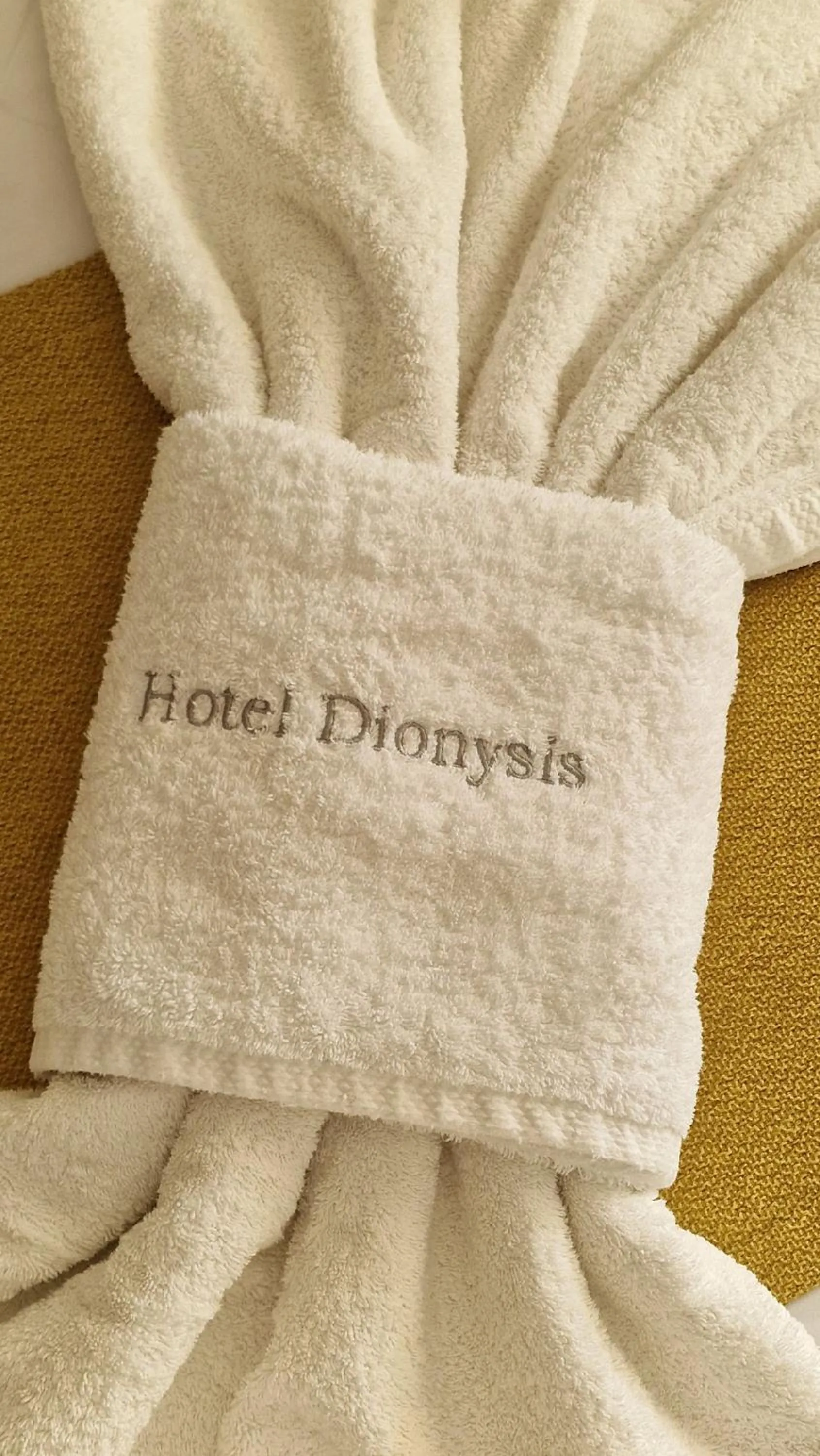 Hotel Dionysis Studios