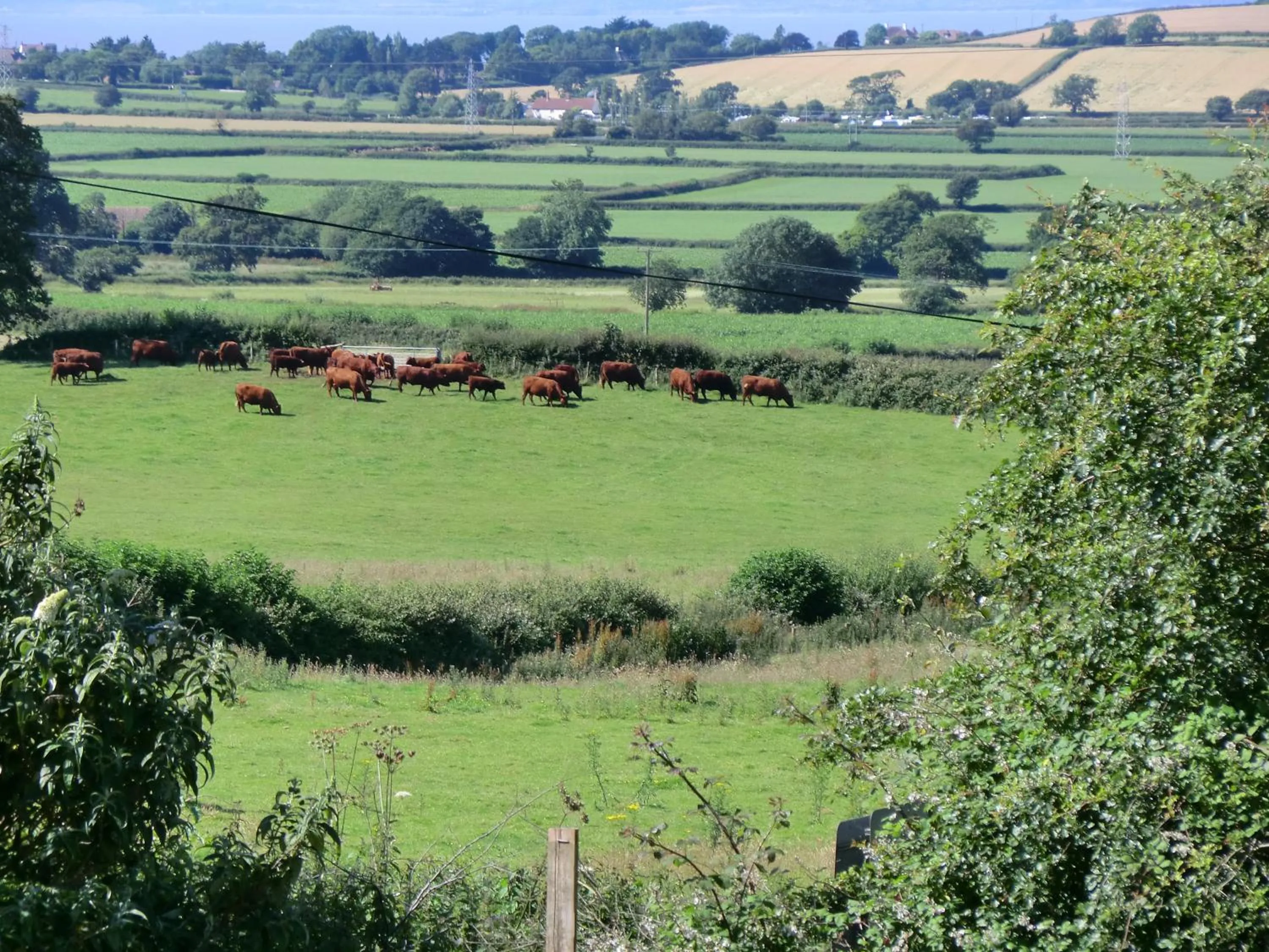 Natural landscape in Castle Of Comfort Hotel